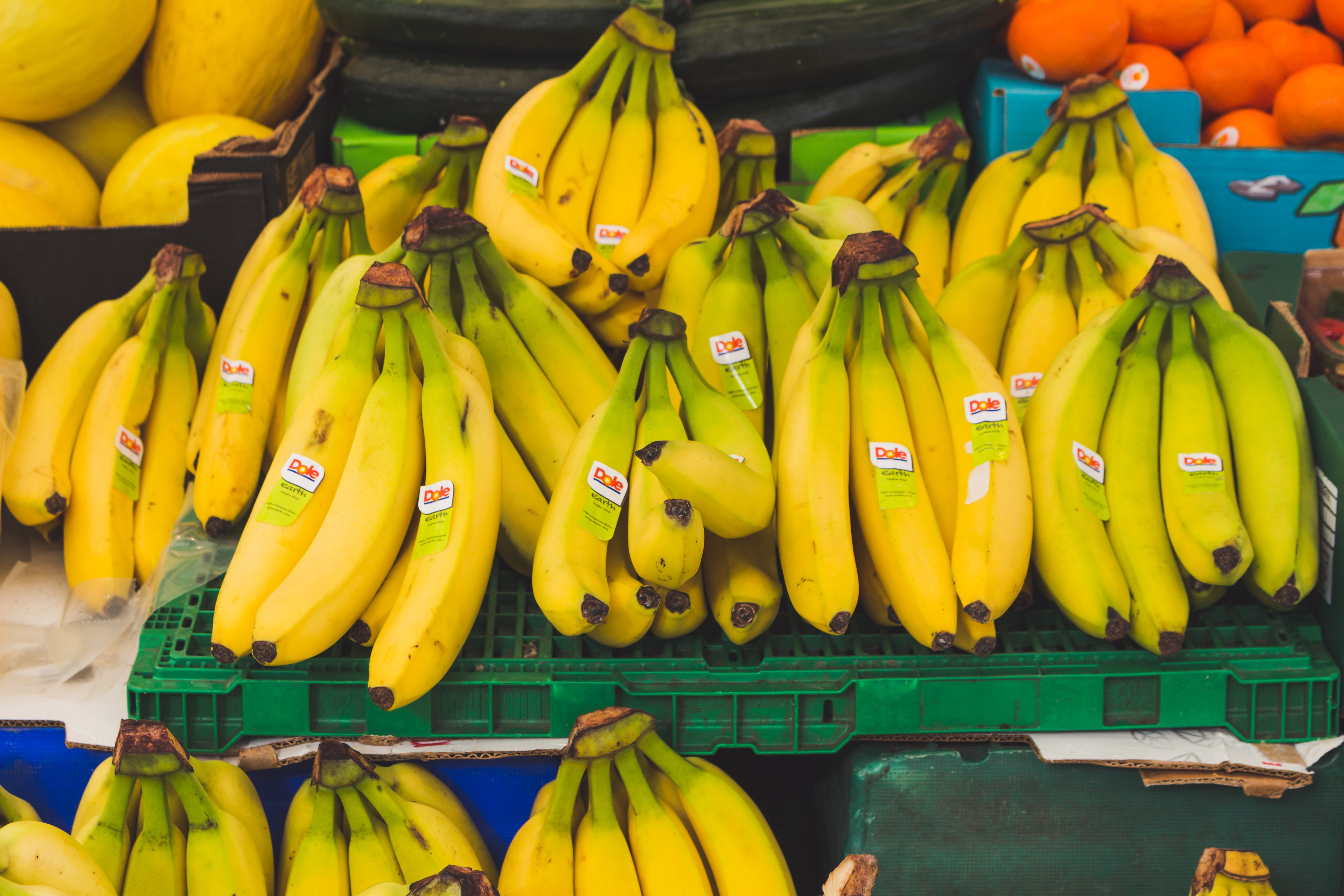 Free stock photo of bananas, delicious, food