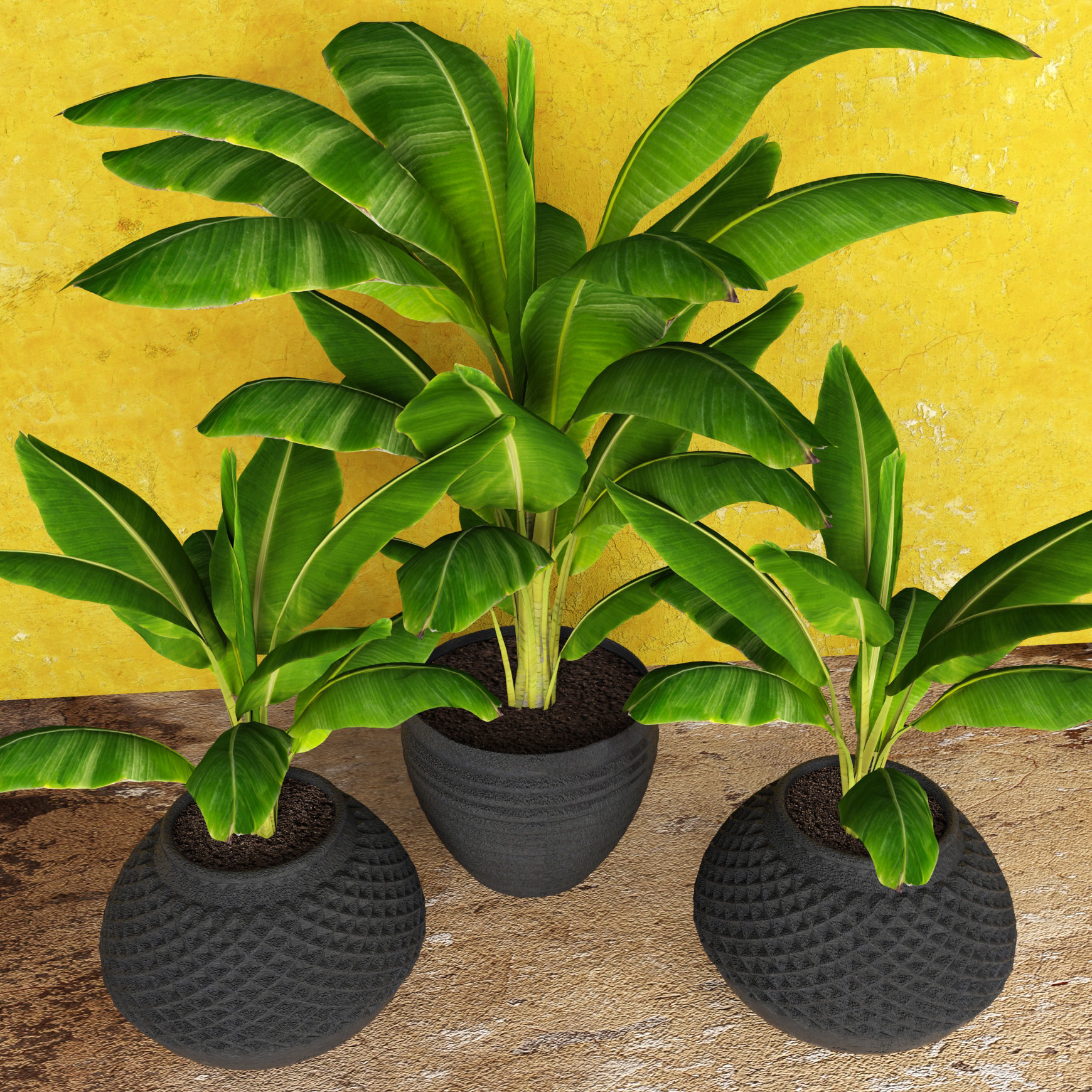 Banana Tree leaf 3D model | CGTrader