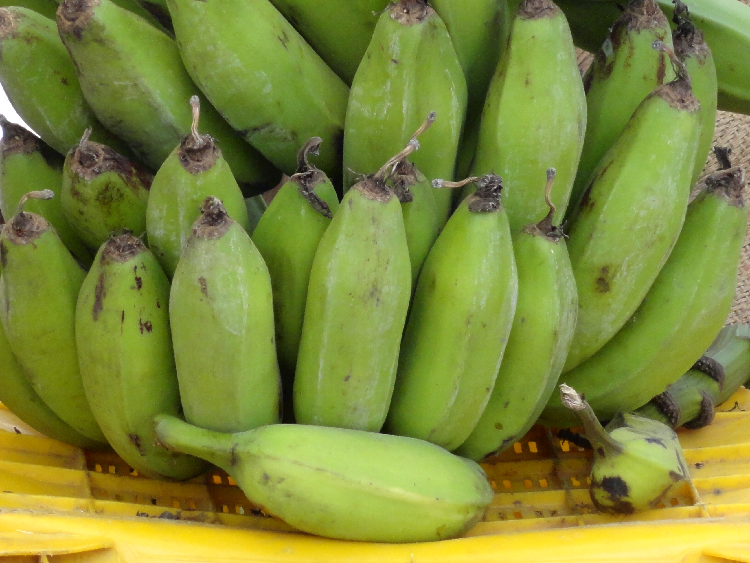 Green Banana Pasta, Just like Mama Never Used to Make | Newscripts