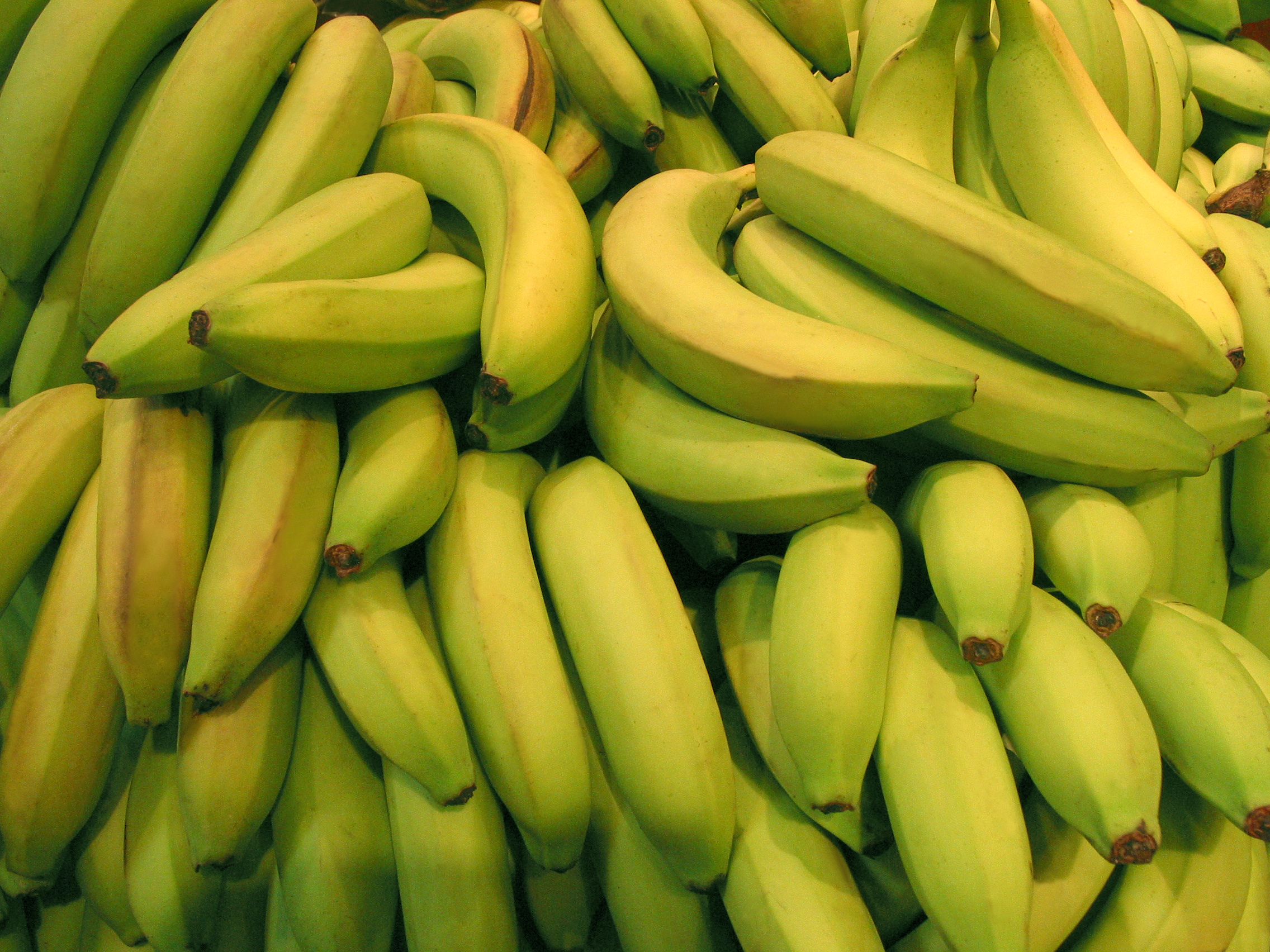 FREE Green Banana Photo, Fresh Bananas Image, Royalty-Free Fruit ...