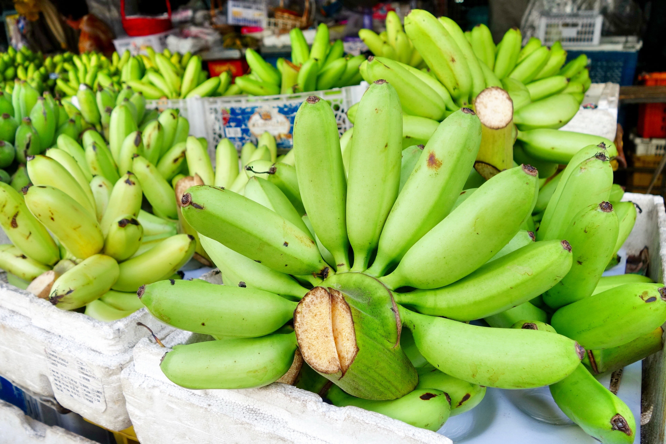 Неспелые бананы