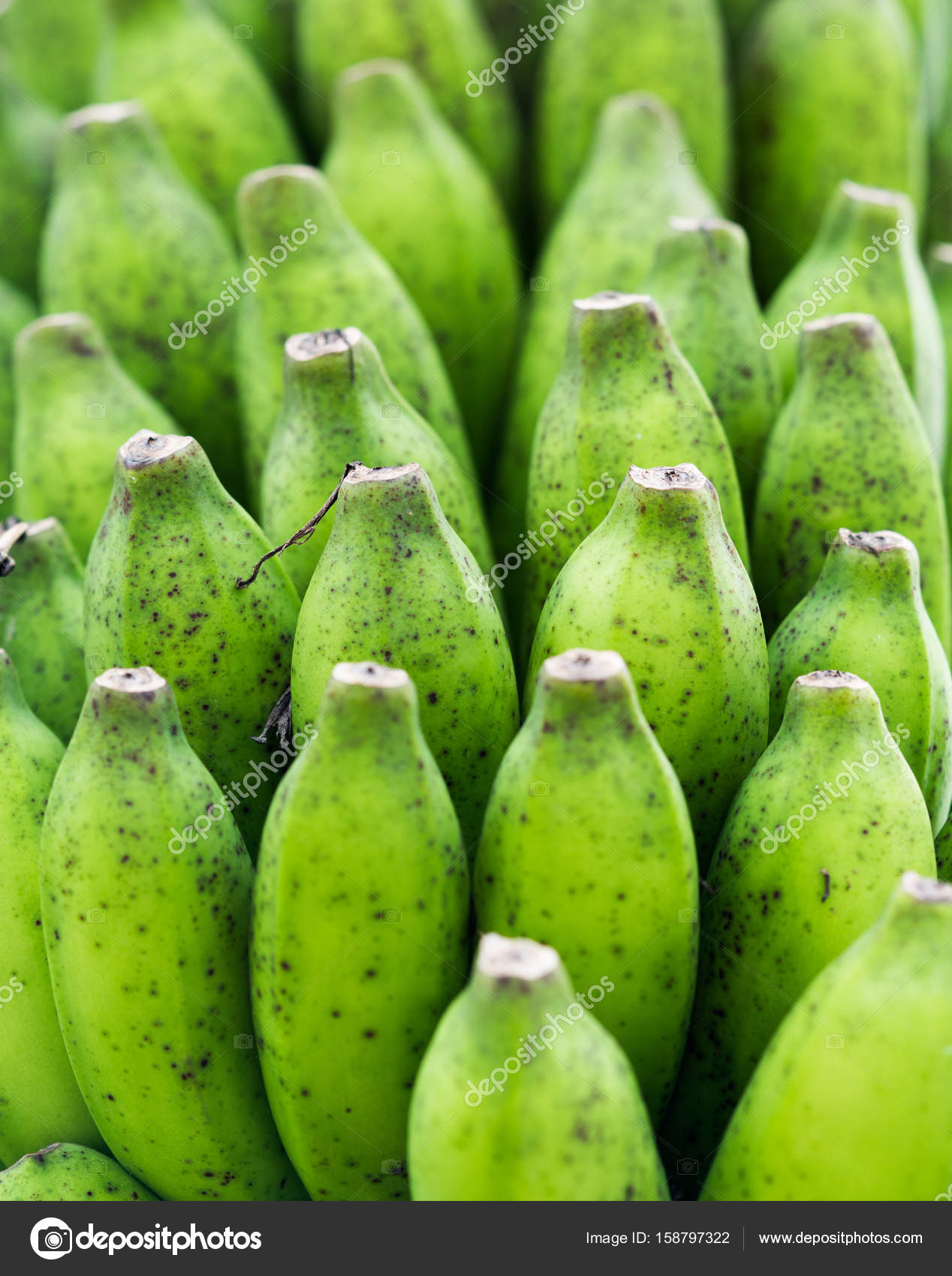 Bunch of green bananas — Stock Photo © nelka7812 #158797322