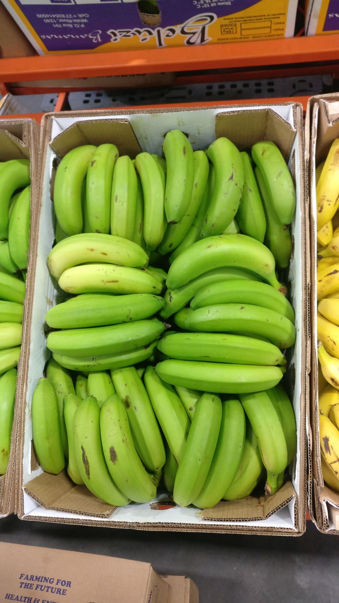 Need a bargain?. Green Bananas 15 Pack