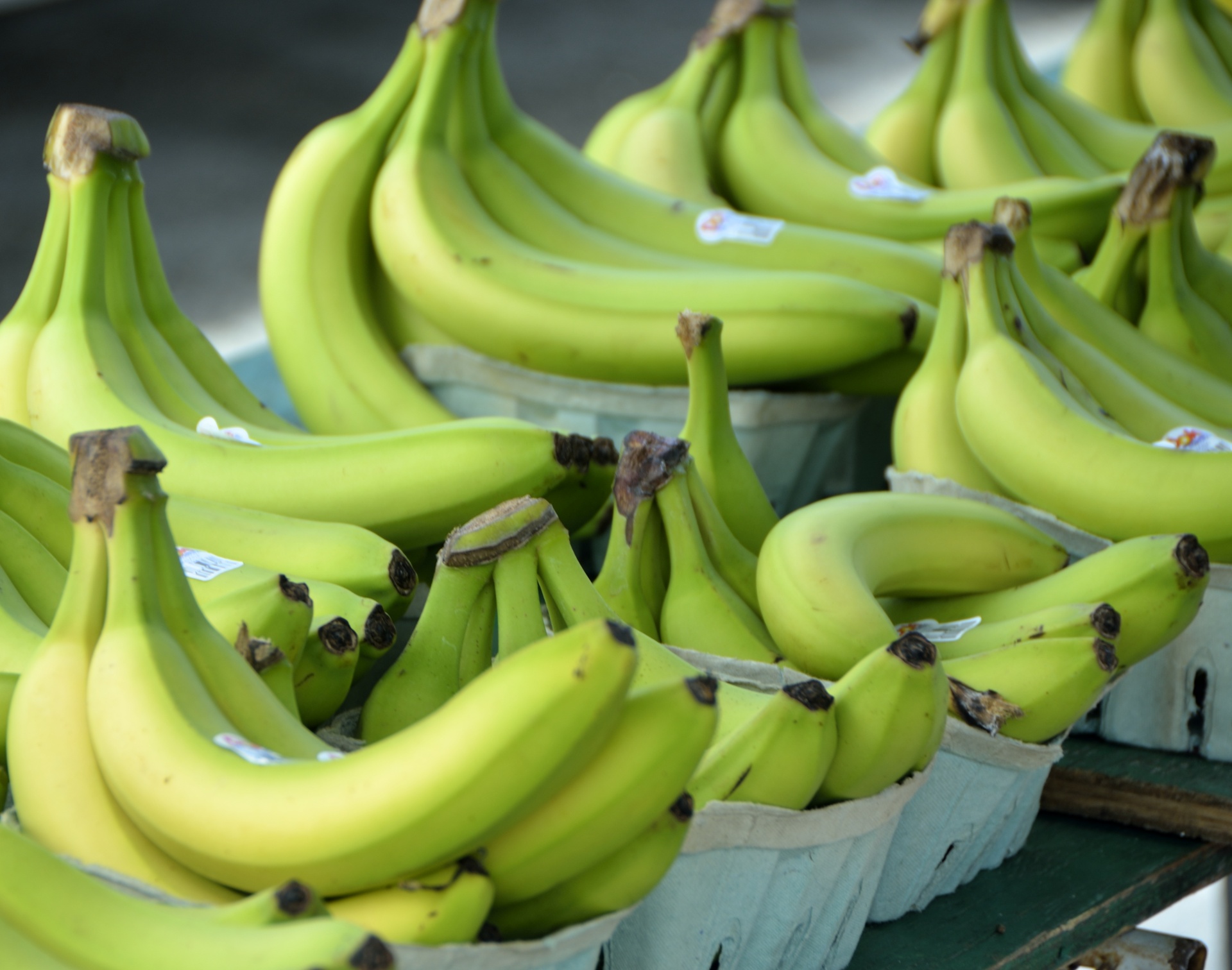 Green Bananas Background Free Stock Photo - Public Domain Pictures