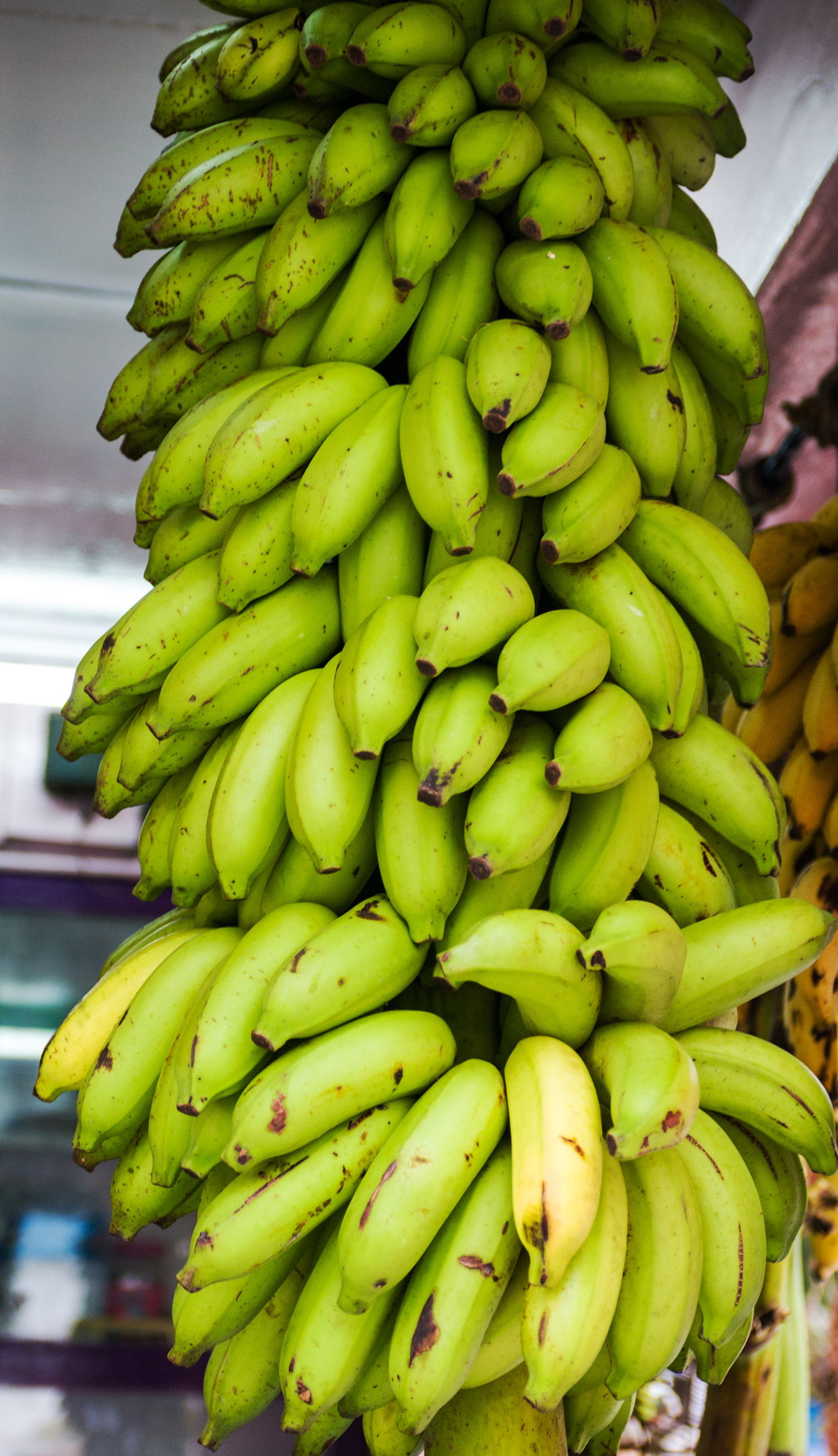 Do Bananas Cause Gas?