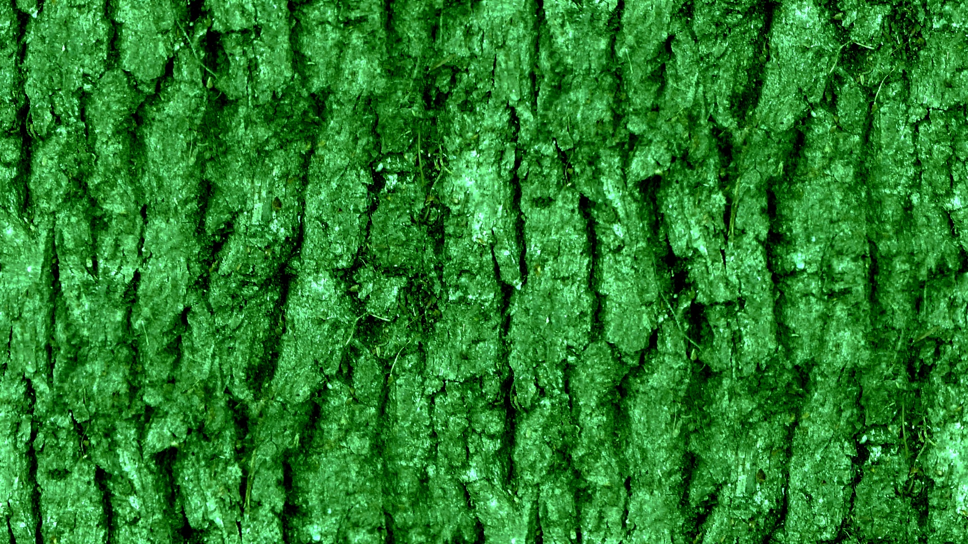 Green Seamless Bark Background Free Stock Photo - Public Domain Pictures