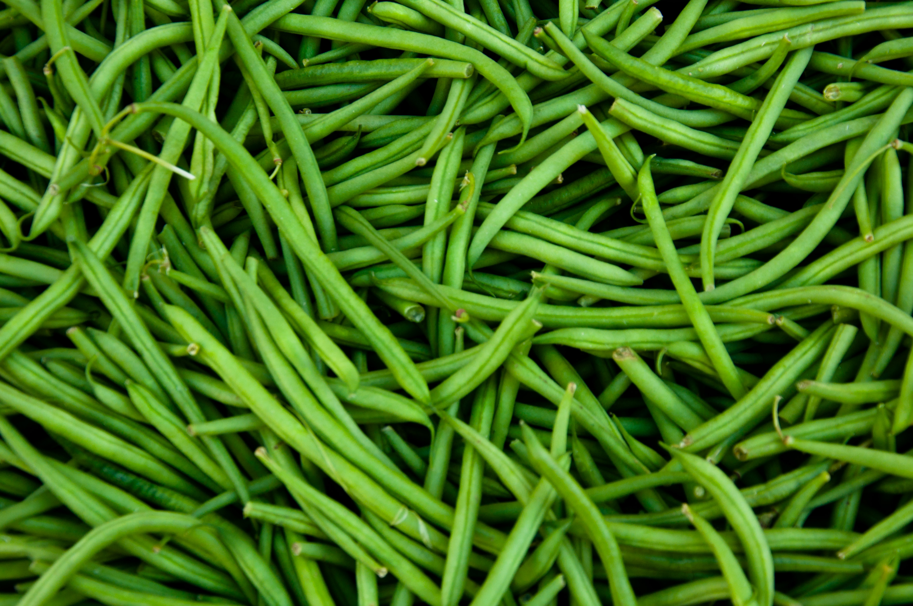 Green beans, Abstract, Healthy, Vegetable, String, HQ Photo