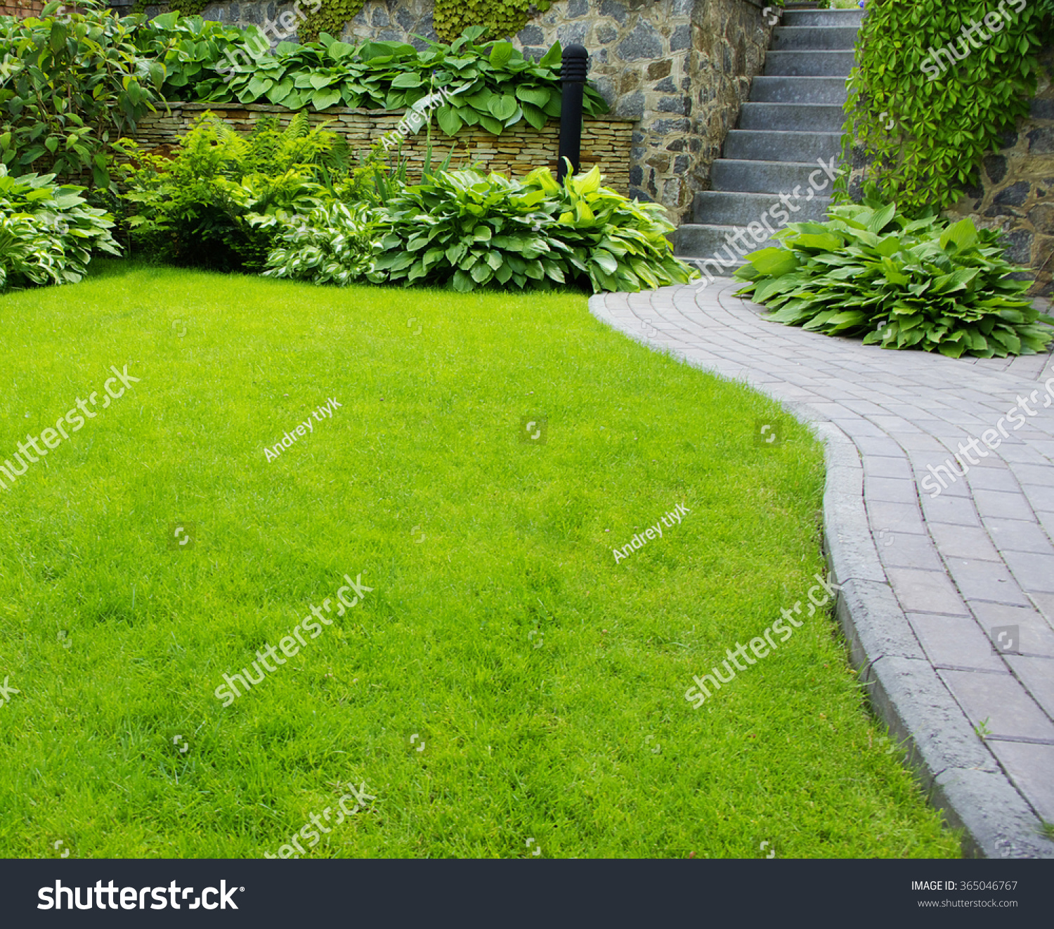 Garden Stone Path Grass Growing Between Stock Photo (Royalty Free ...