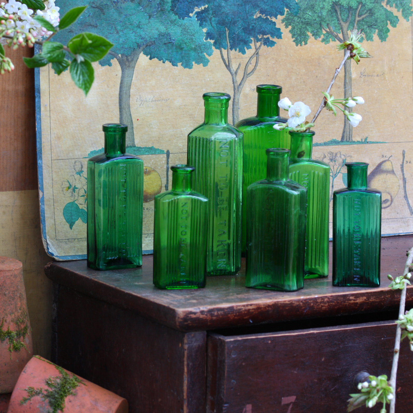 Vintage Green Bottles – Set of 3 | Dee Puddy