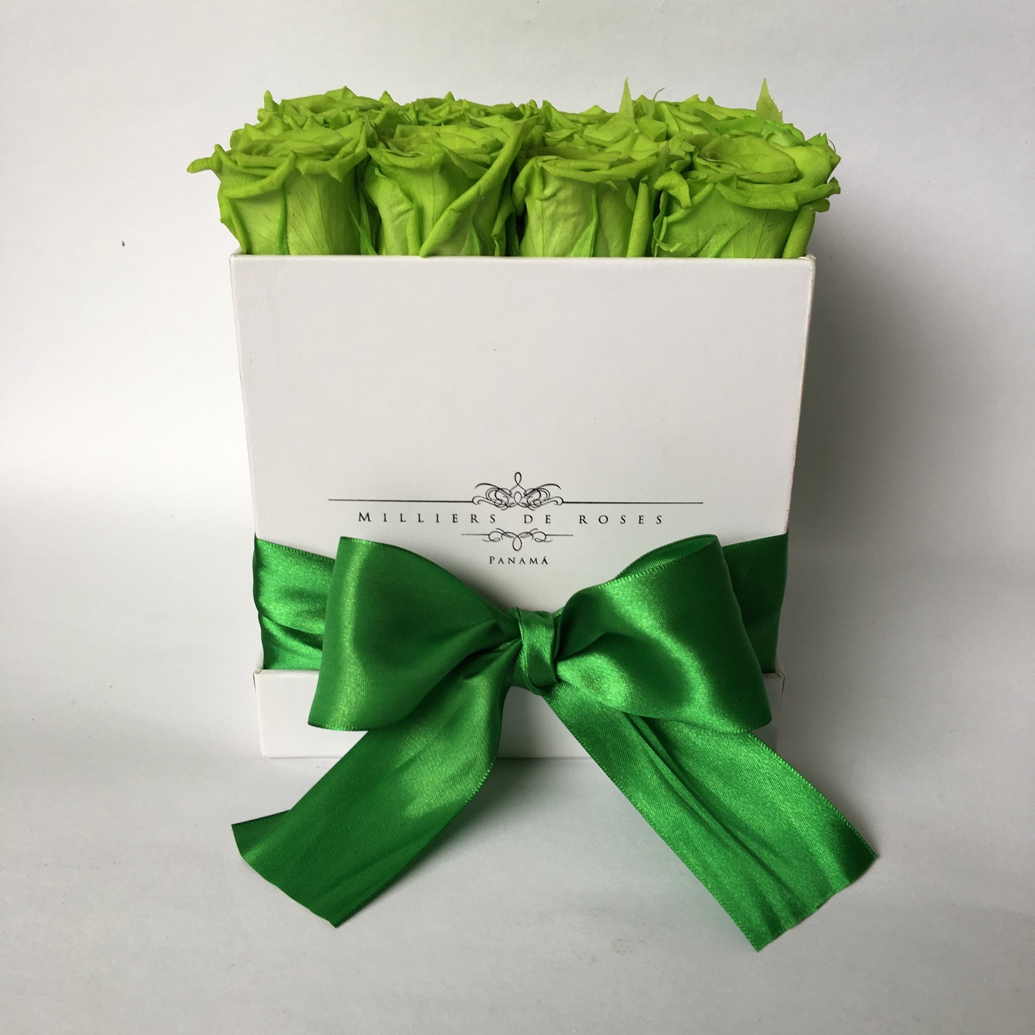 Milliers Square Box - White - Green PRESERVADAS – Milliers De Roses ...