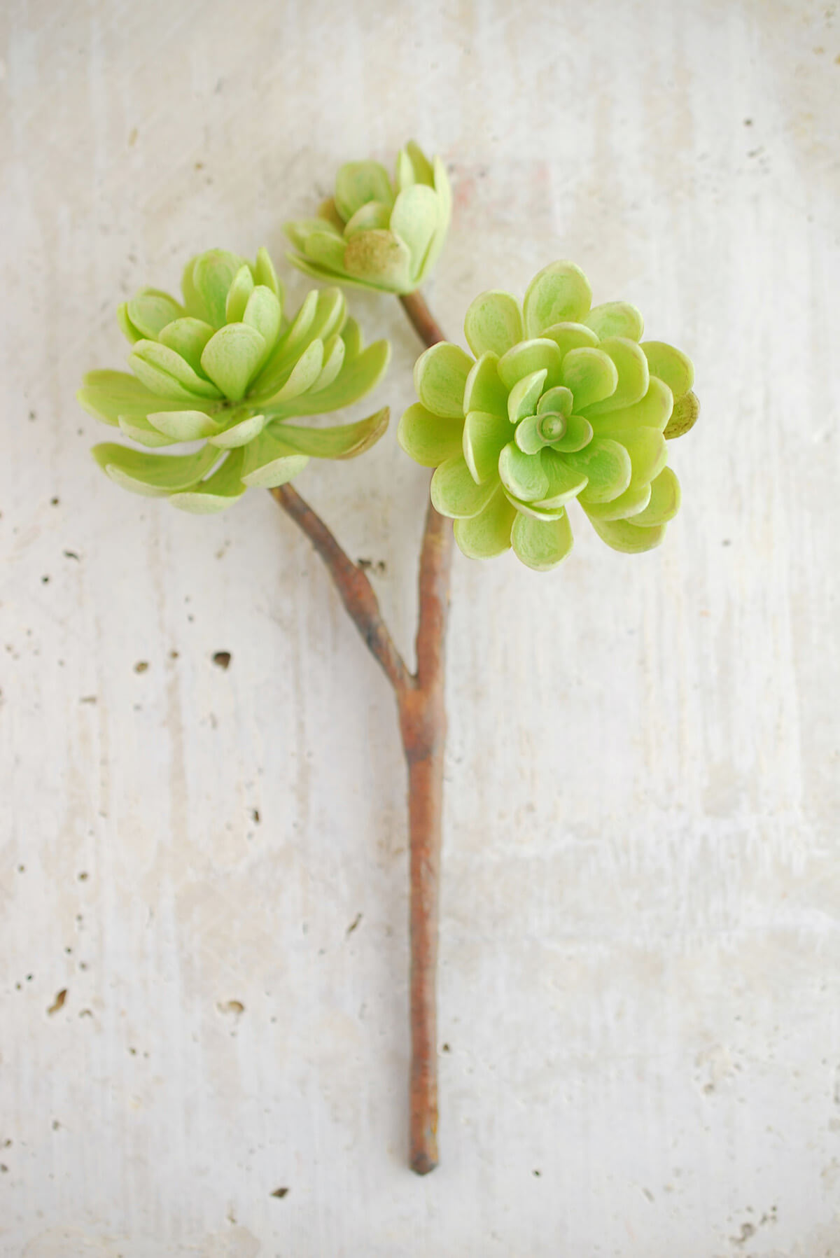 Hen and Chicks Faux Succulent Stem Green 10in