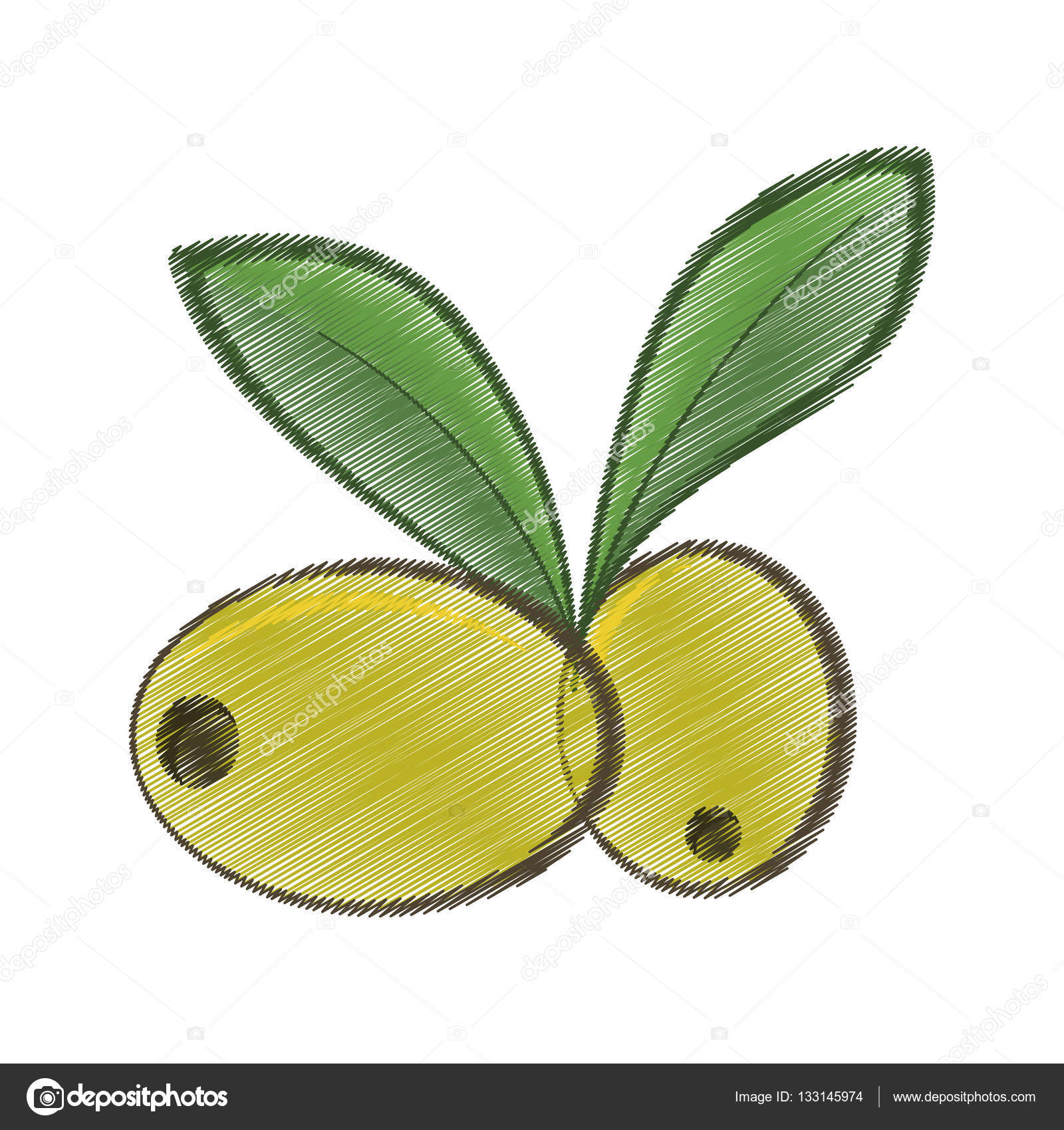 Olive Drawing at GetDrawings.com | Free for personal use Olive ...