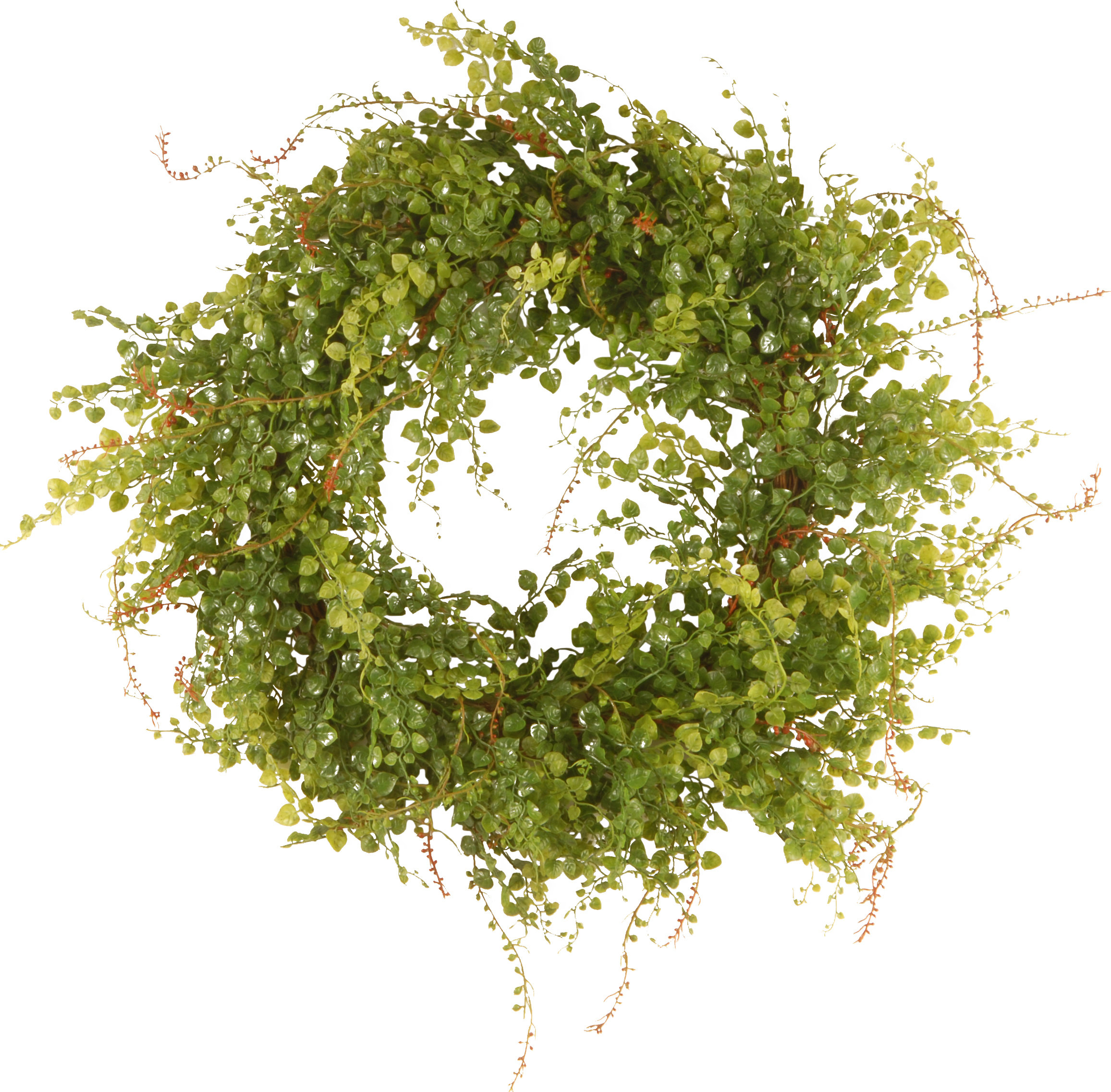August Grove Light Green Hotag with Berry Wreath & Reviews | Wayfair