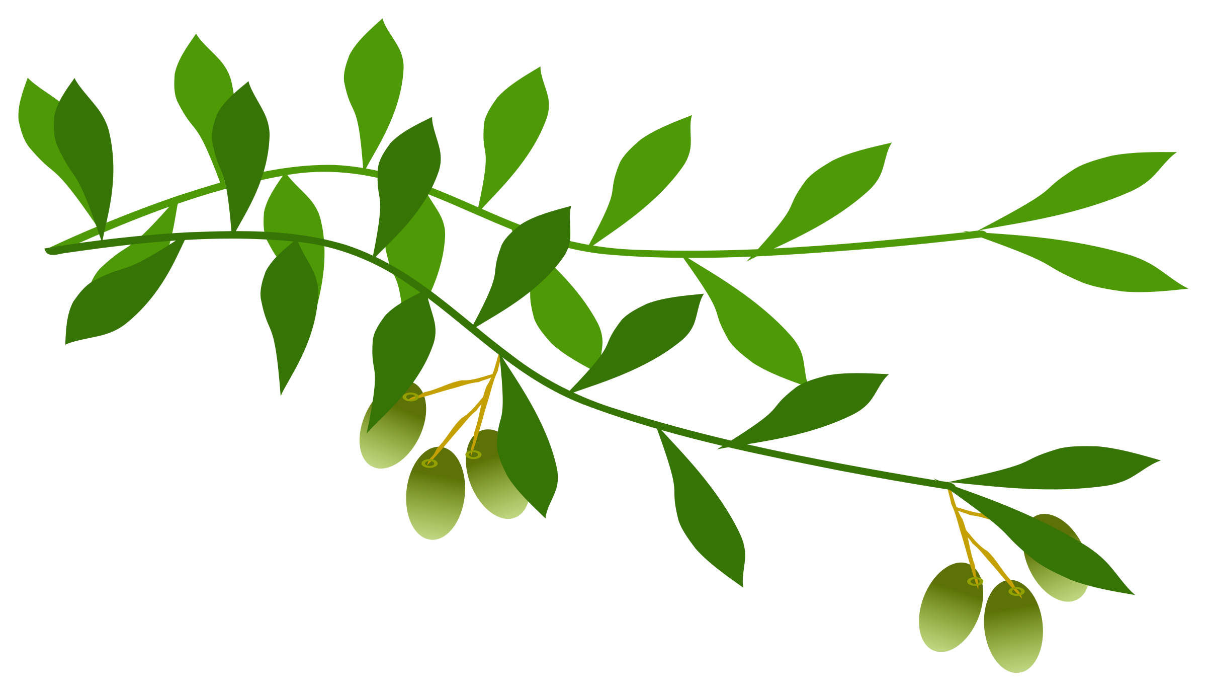 Clipart - olive branch