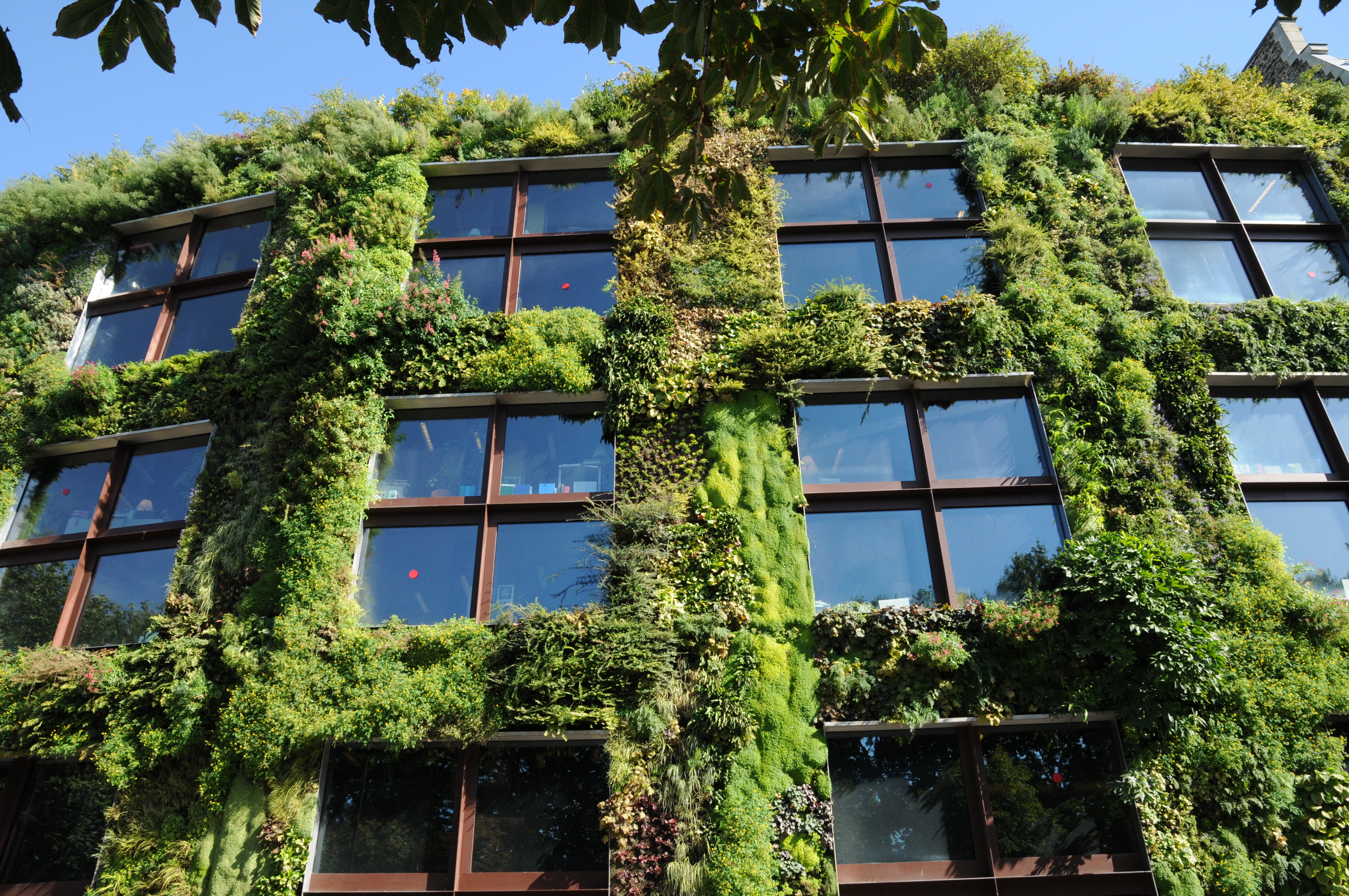 World Green Building Council Spreads the Green Love - Environmental ...