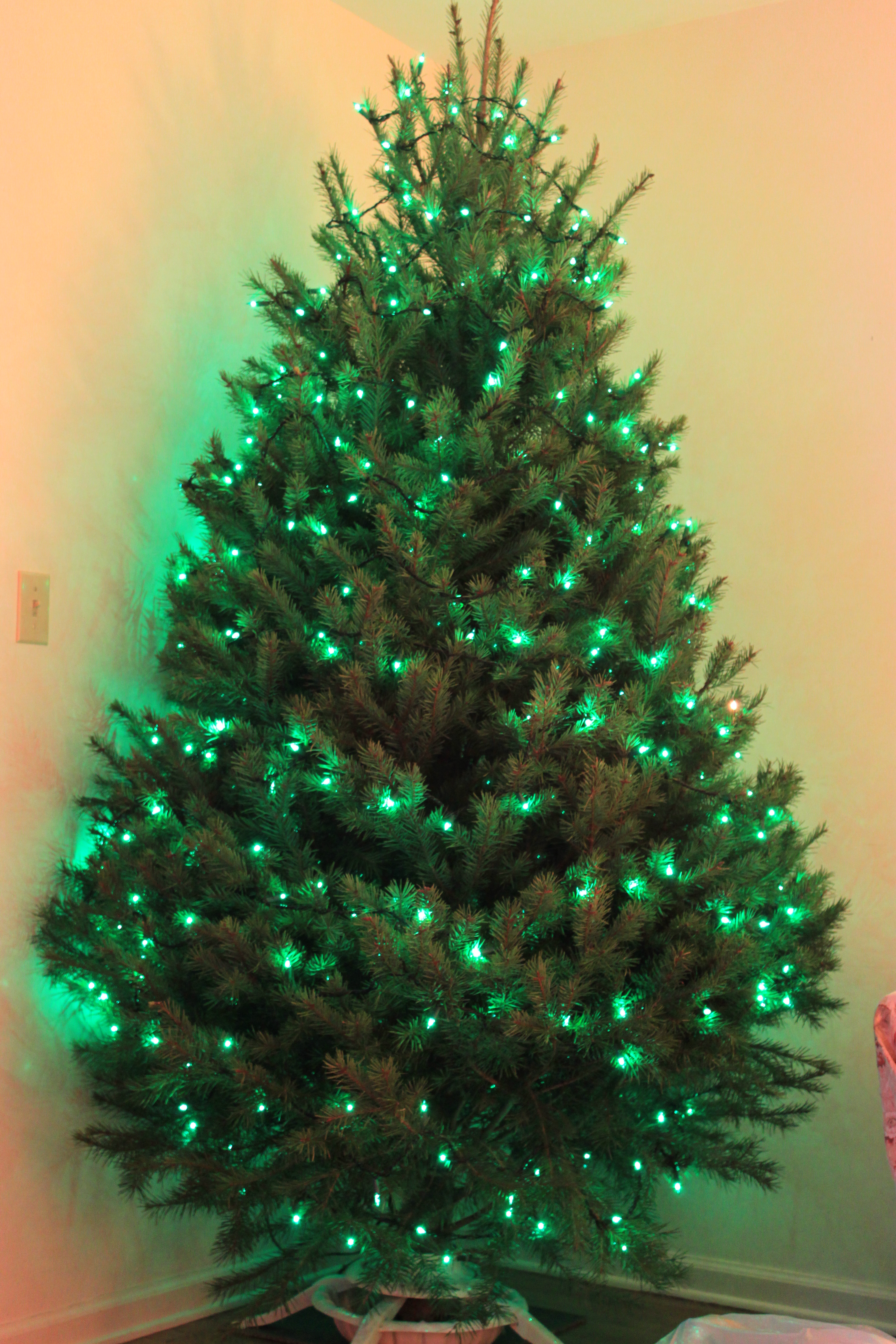 File:Minimalistic green Christmas tree.jpg - Wikimedia Commons