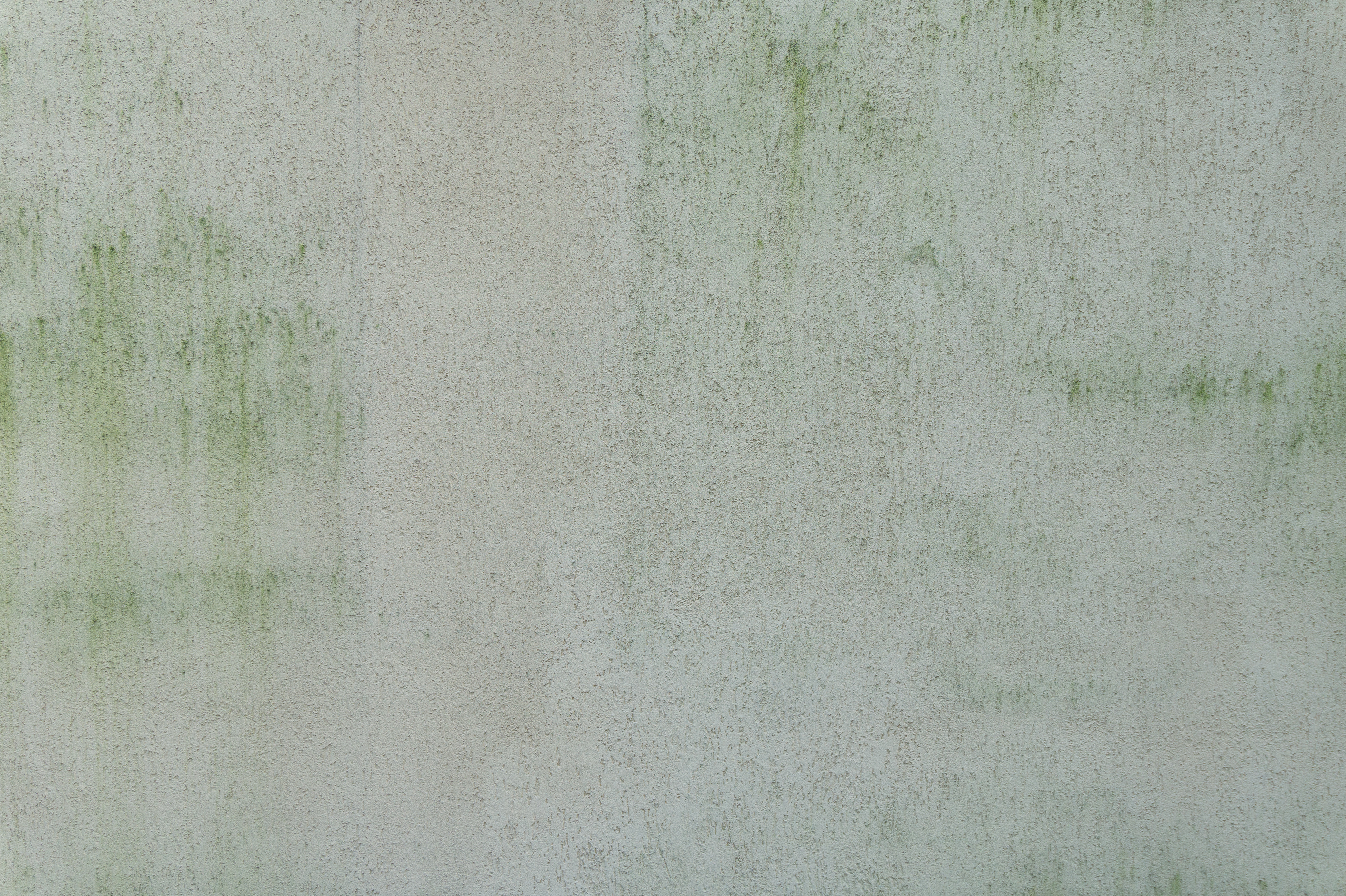 Concrete with green streaks - Concrete - Texturify - Free textures