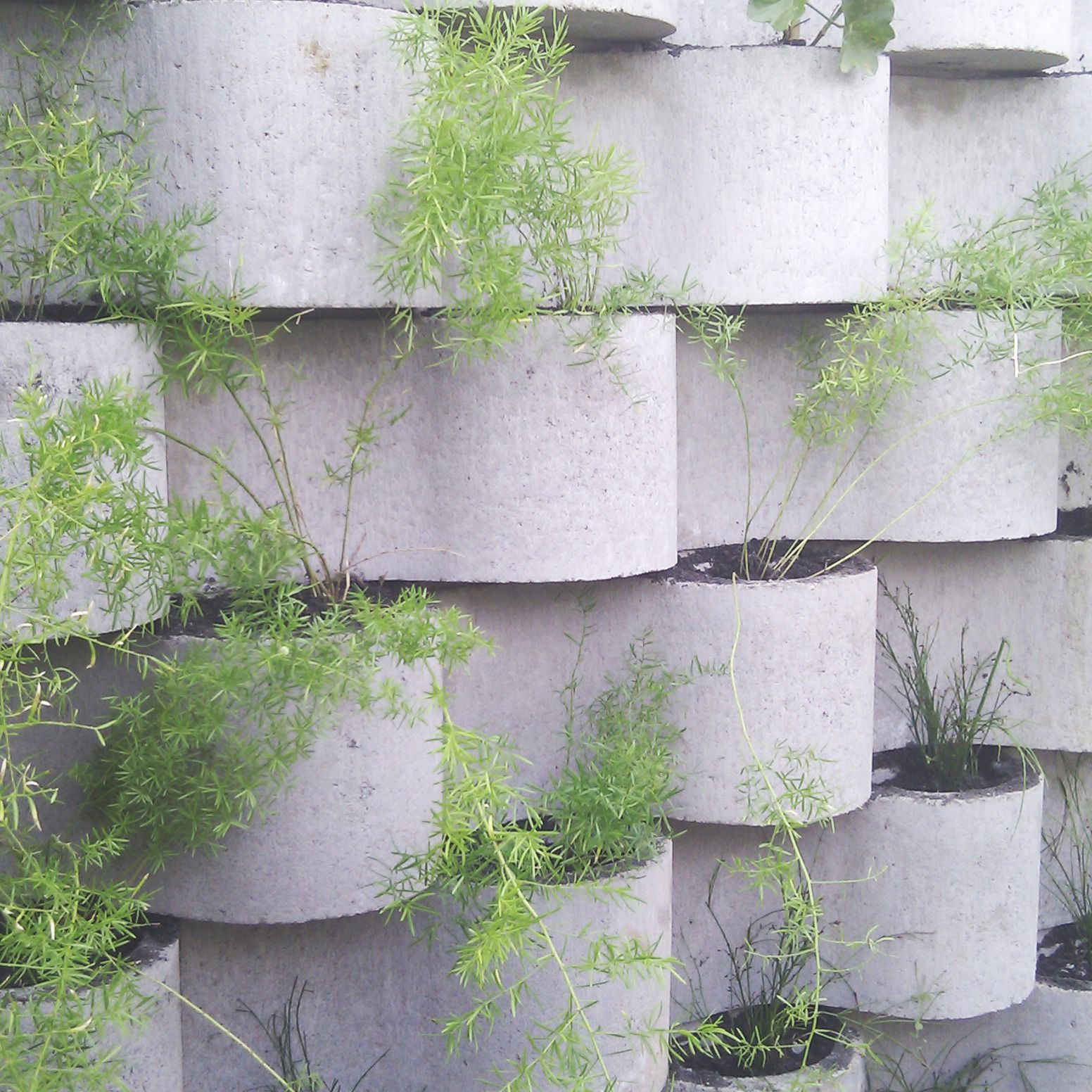Green Wall Block | Concrete, Green walls and Jamie durie