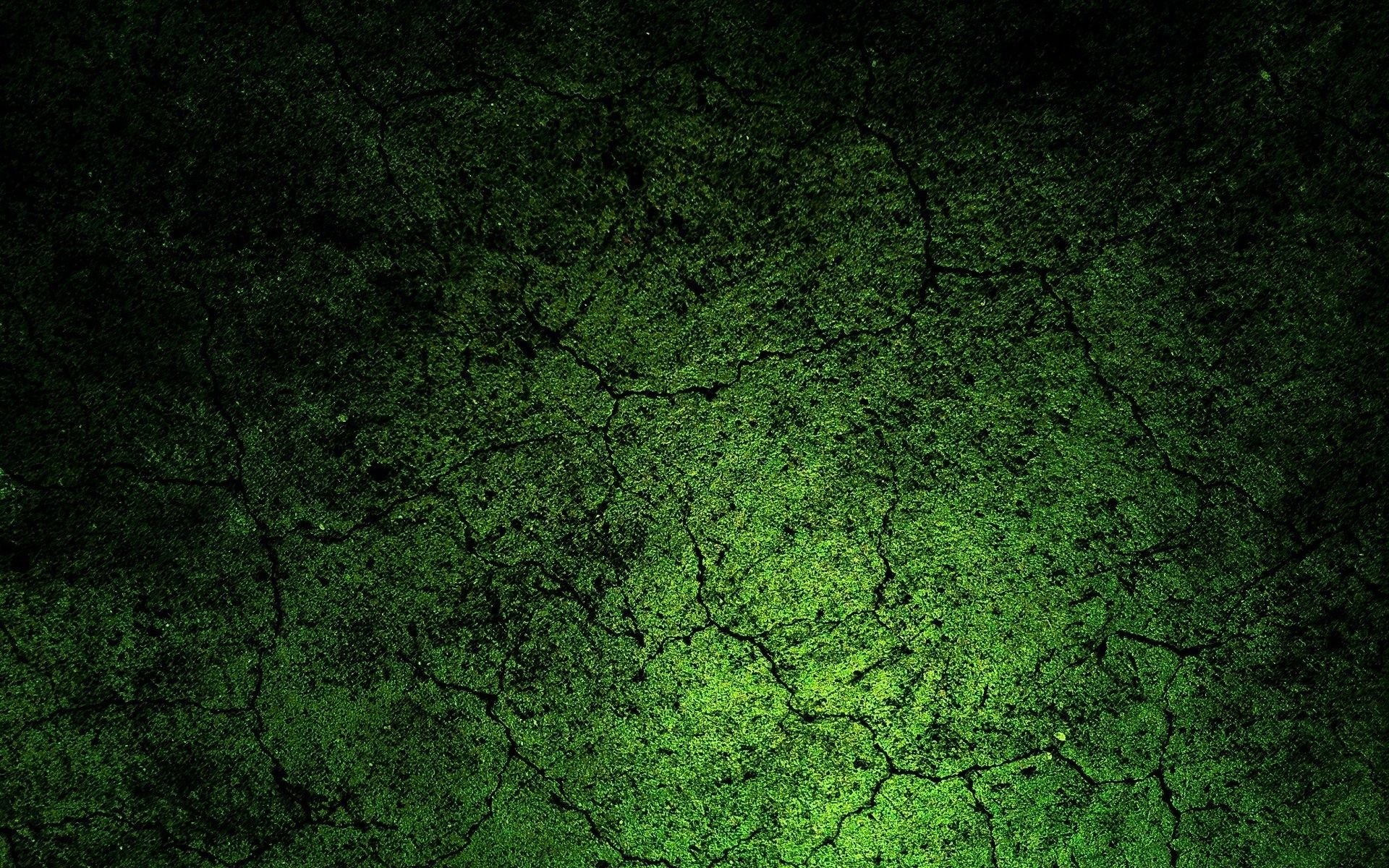 Green Cracked Soil - WallDevil