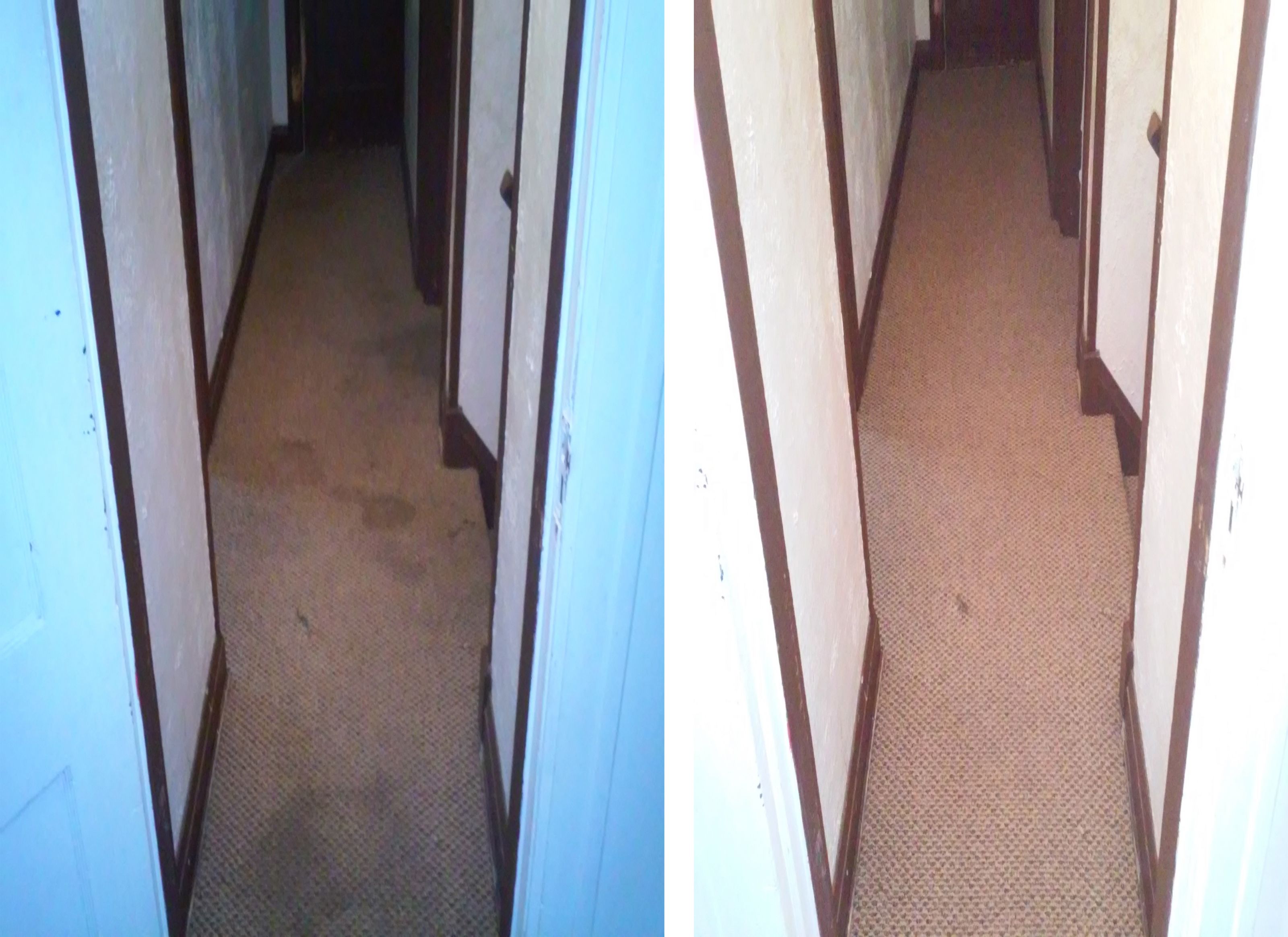 Green Carpet Cleaning in Centerville, OH For Dirty Homes