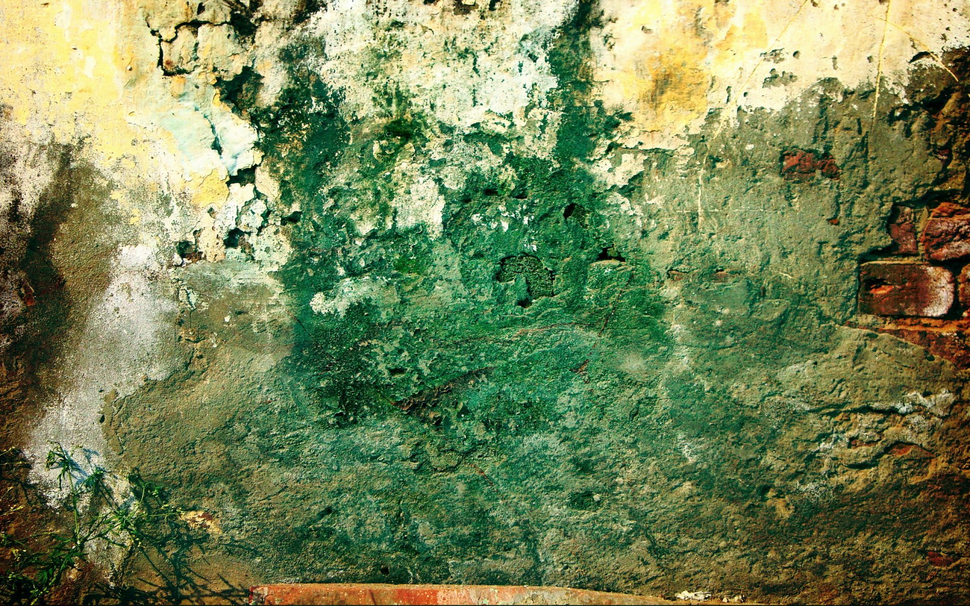 wall brick green dirty plant grunge pattern HD wallpaper