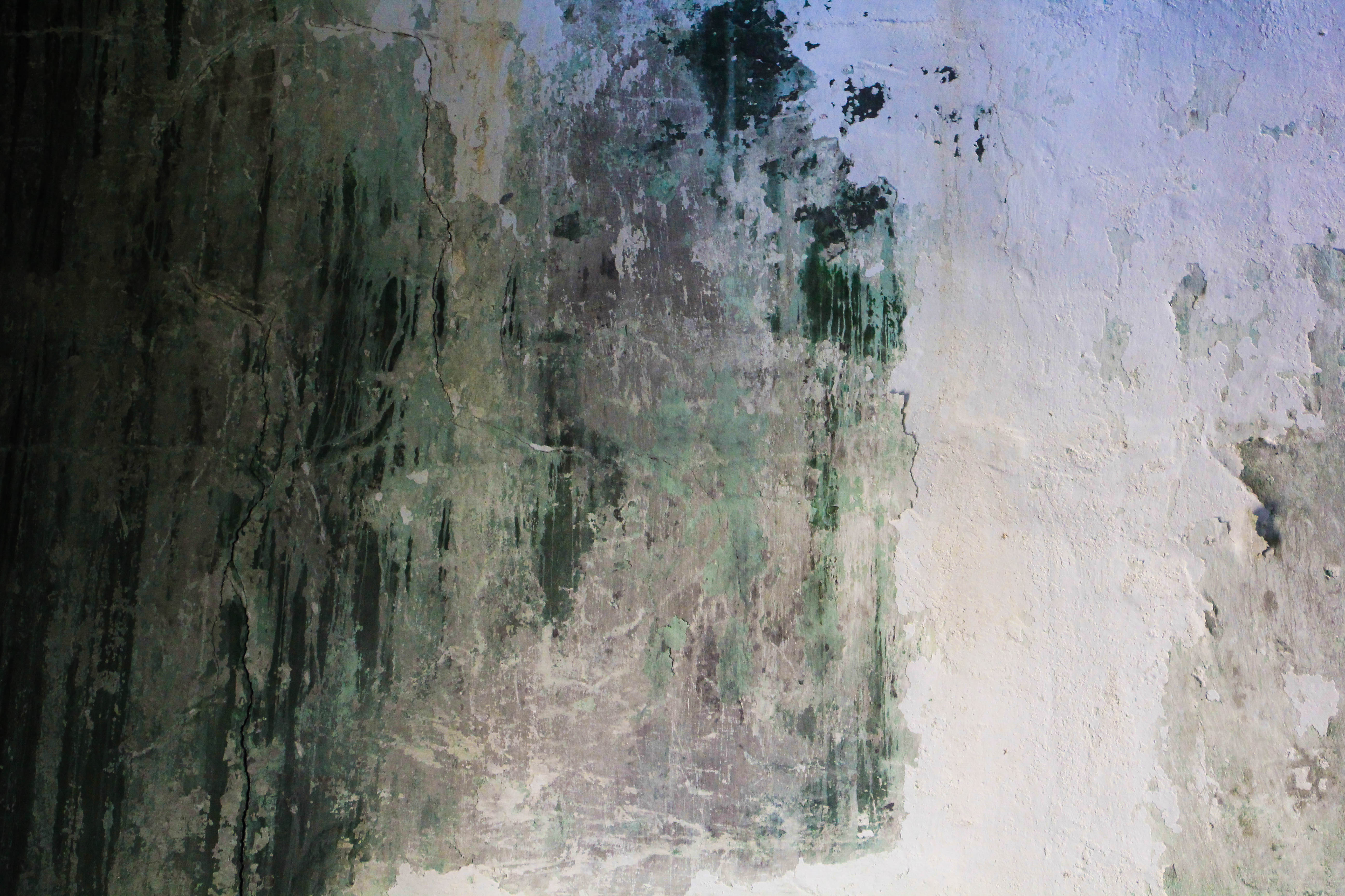 wall texture old dirty wall filthy grime painted cracked green white ...