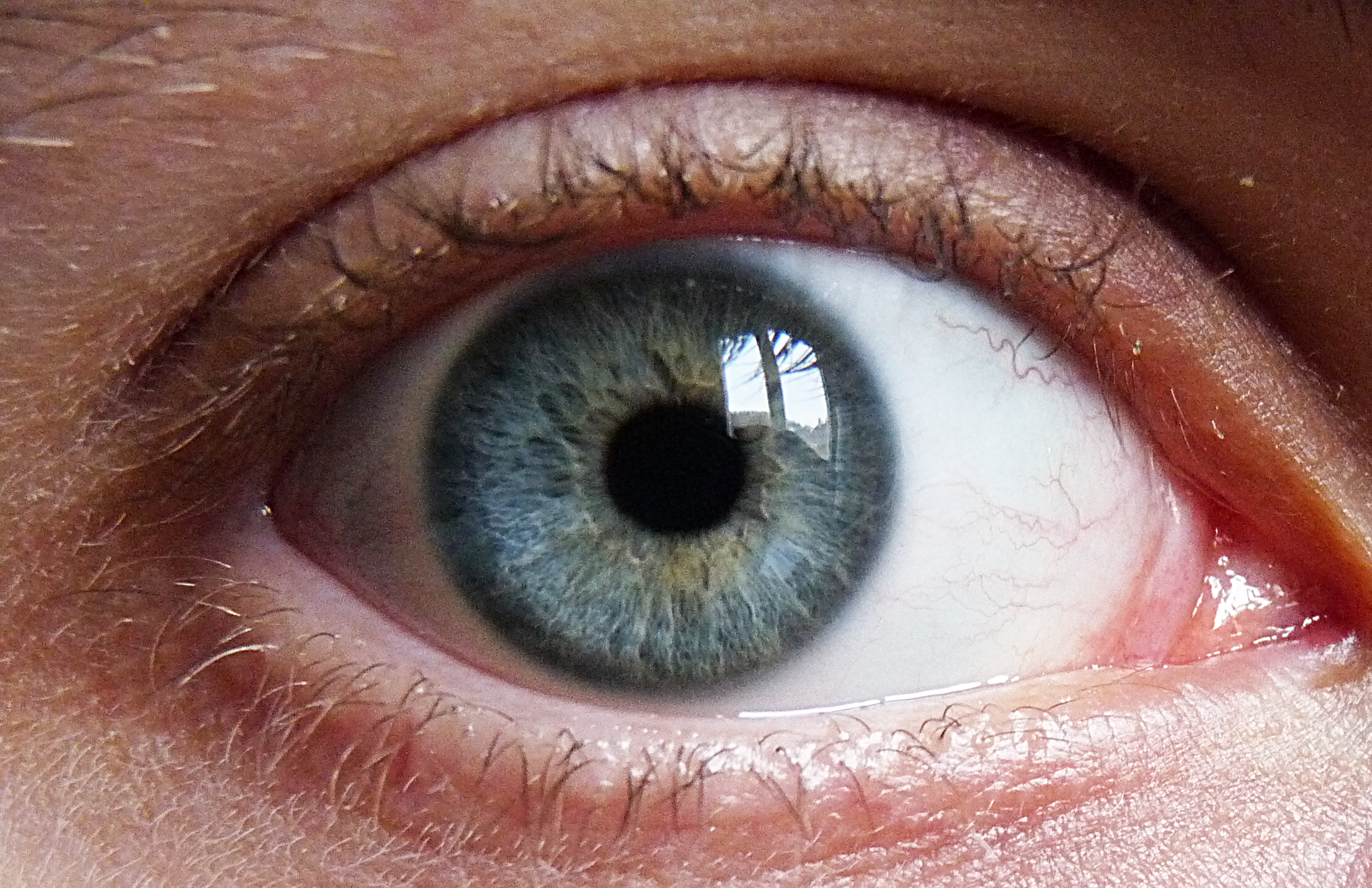 Blue-Green Eyes | Beyond Highbrow - Robert Lindsay