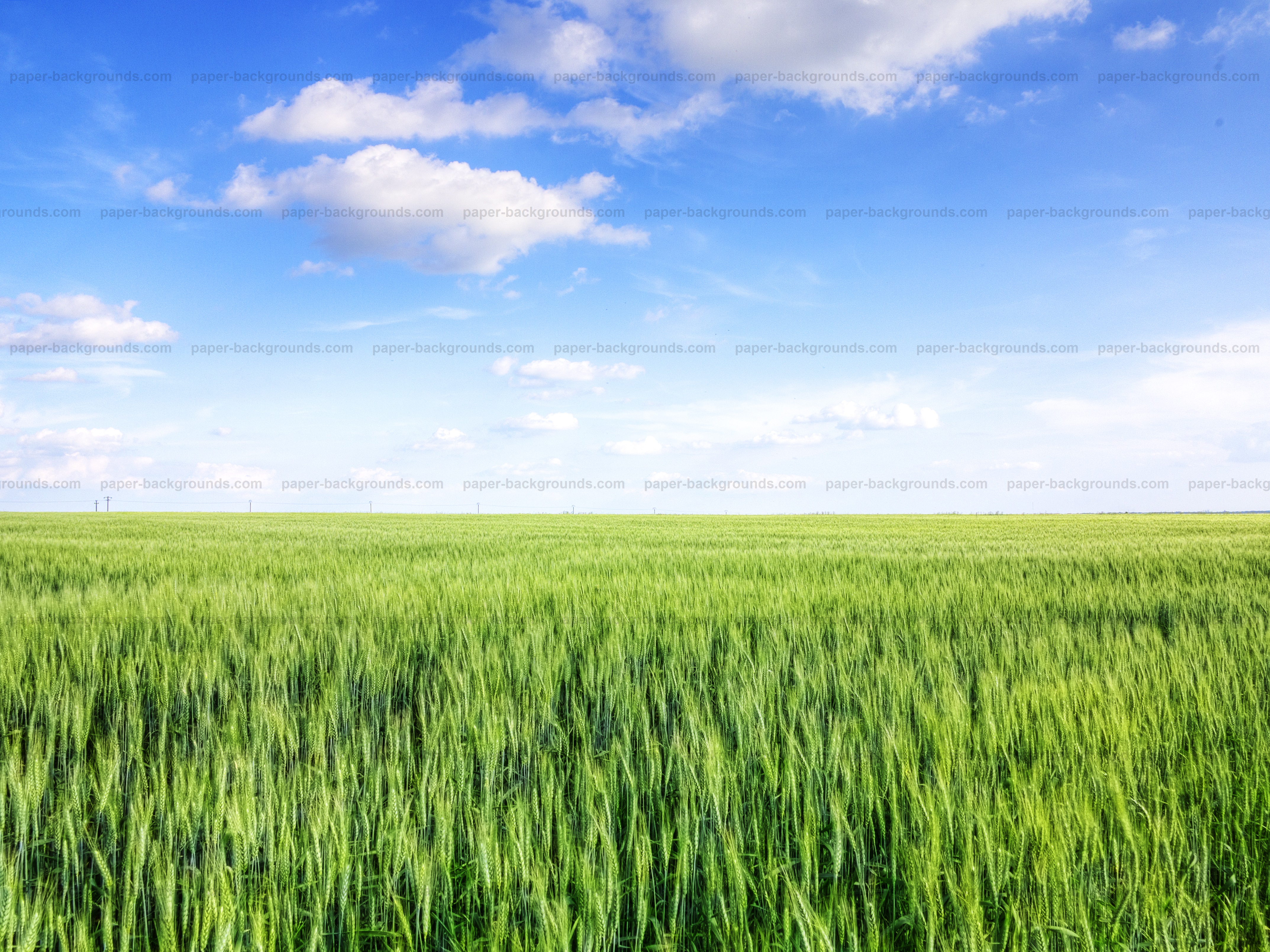 Paper Backgrounds | green-field-blue-sky-background