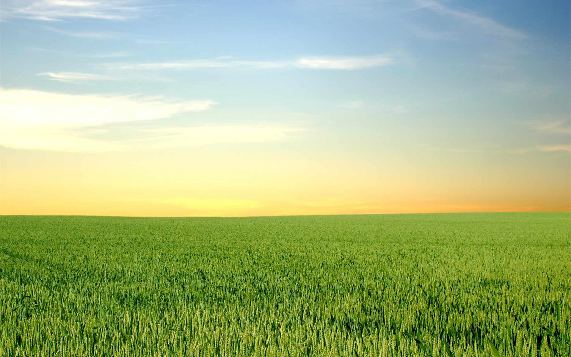 Daily Wallpaper: Green Fields and Blue Skies | I Like To Waste My Time