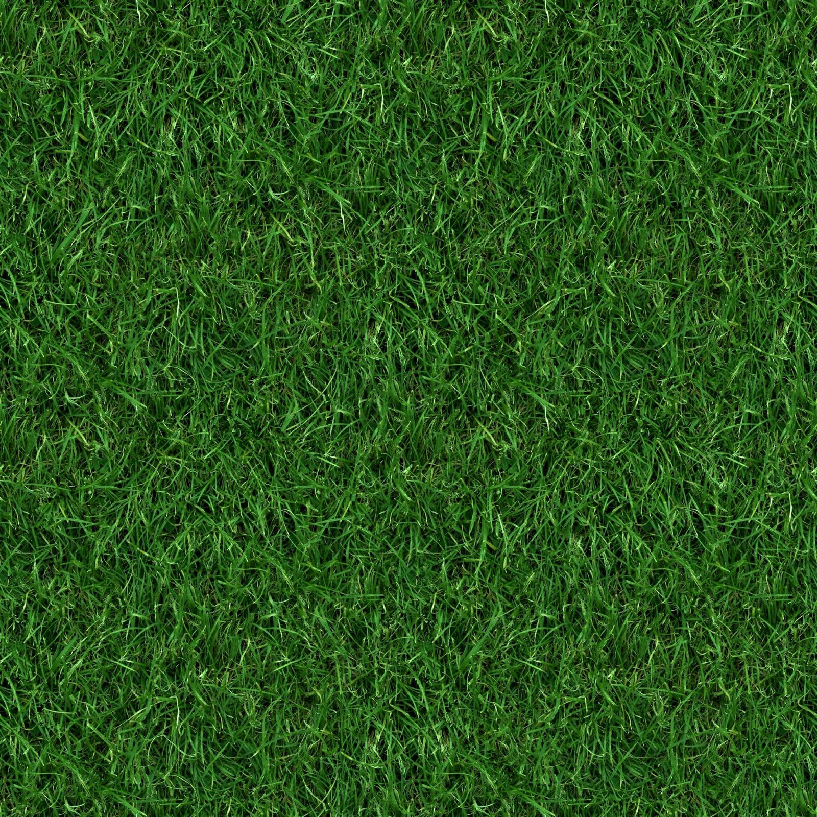 GRASS 4) seamless turf lawn green ground field texture | Gimp ...