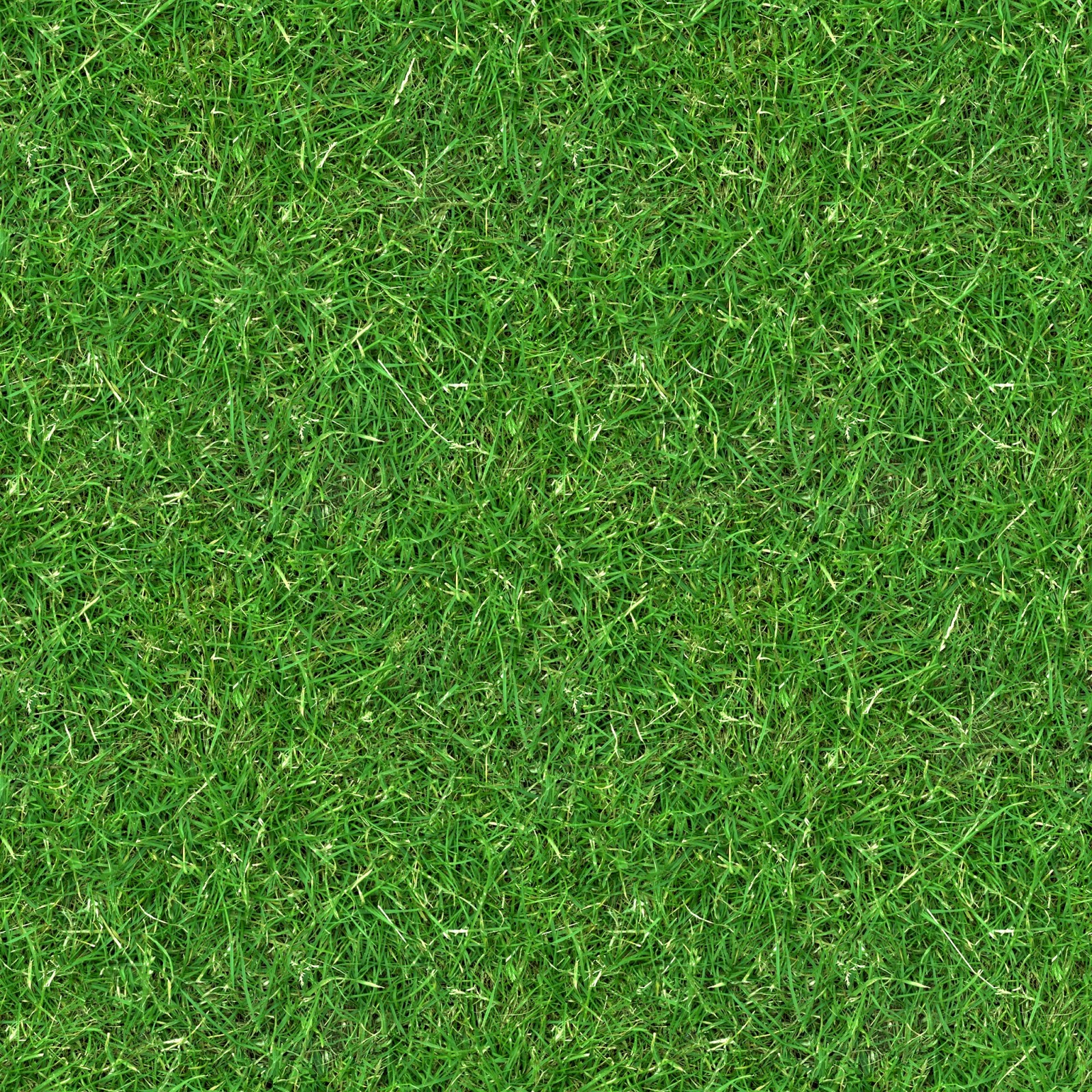 High Resolution Seamless Textures: (GRASS 3) seamless turf lawn ...
