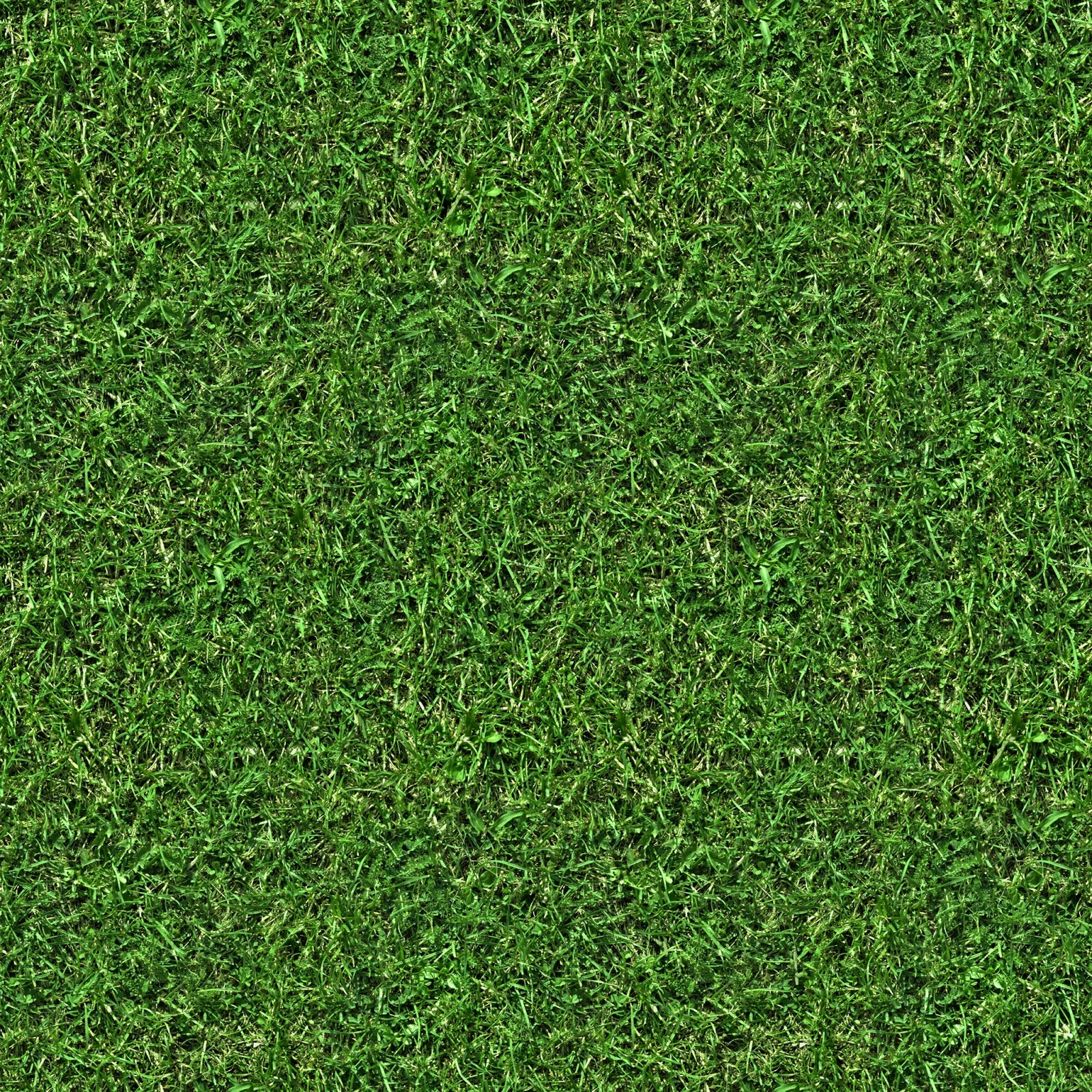 High Resolution Seamless Textures: (GRASS 5) seamless turf lawn ...