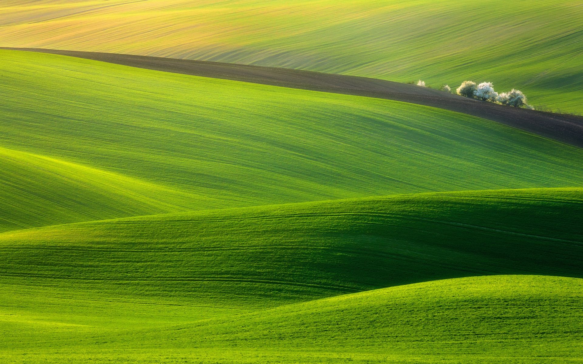 Spectacular Green Field wallpaper | Amazing Photos | Pinterest ...
