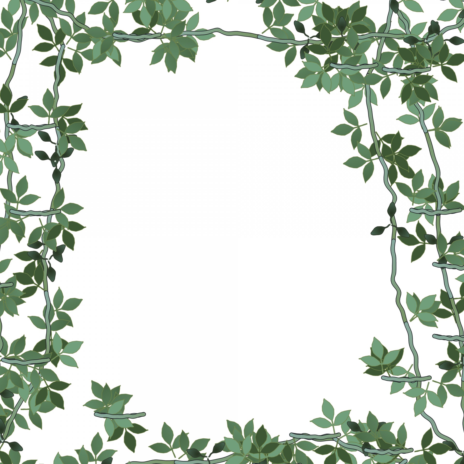 Floral Frame Green Random 8 Free Stock Photo - Public Domain Pictures