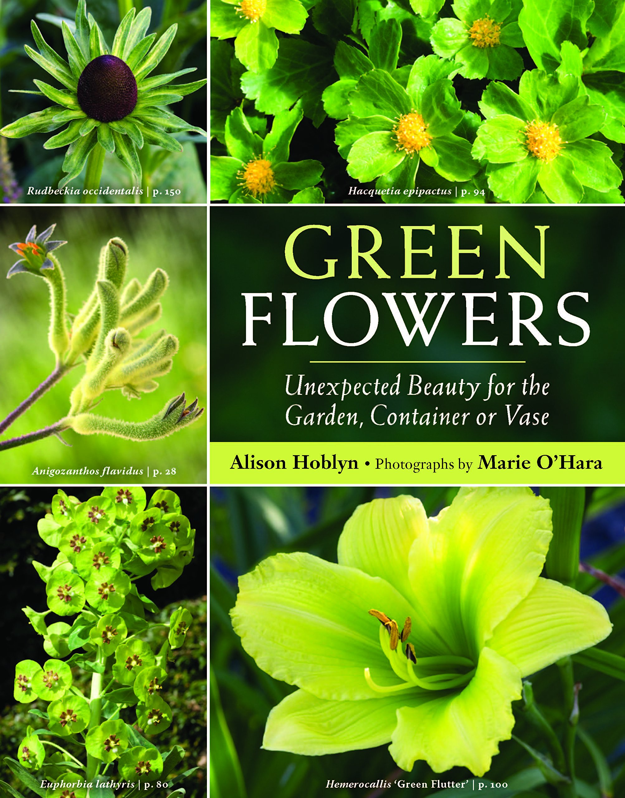 Green Flowers: Unexpected Beauty for the Garden, Container or Vase ...