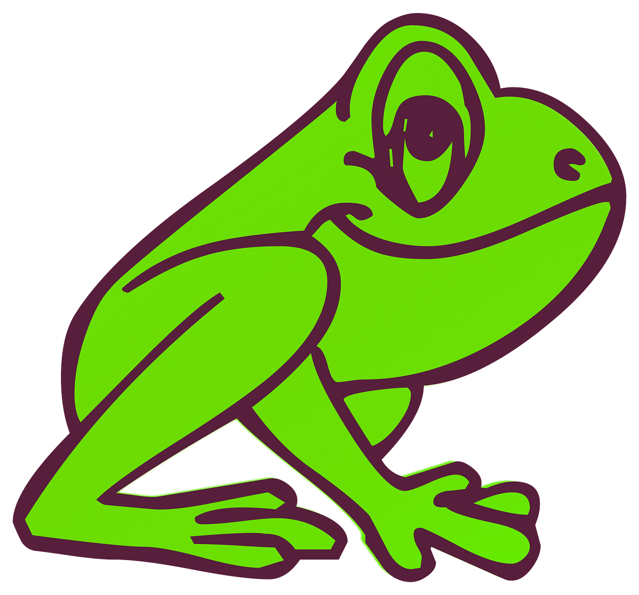 Green frog photo