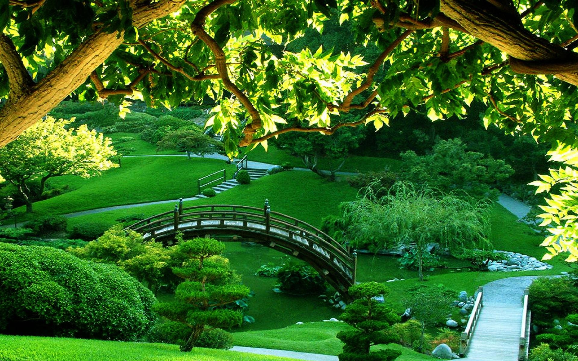 Green garden photo