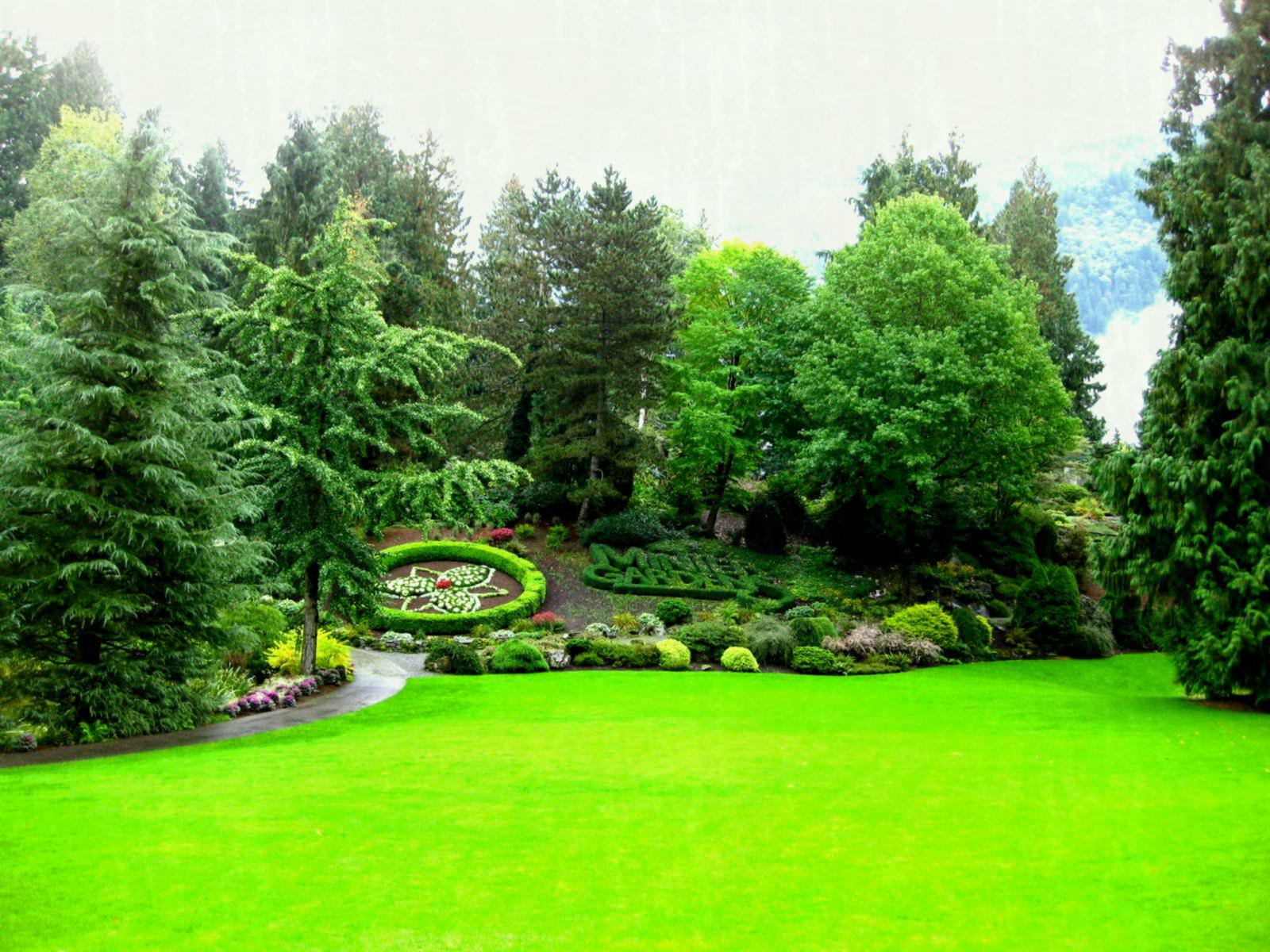 Green Garden Wallpaper Free Download Wonderful Cool Nature ...