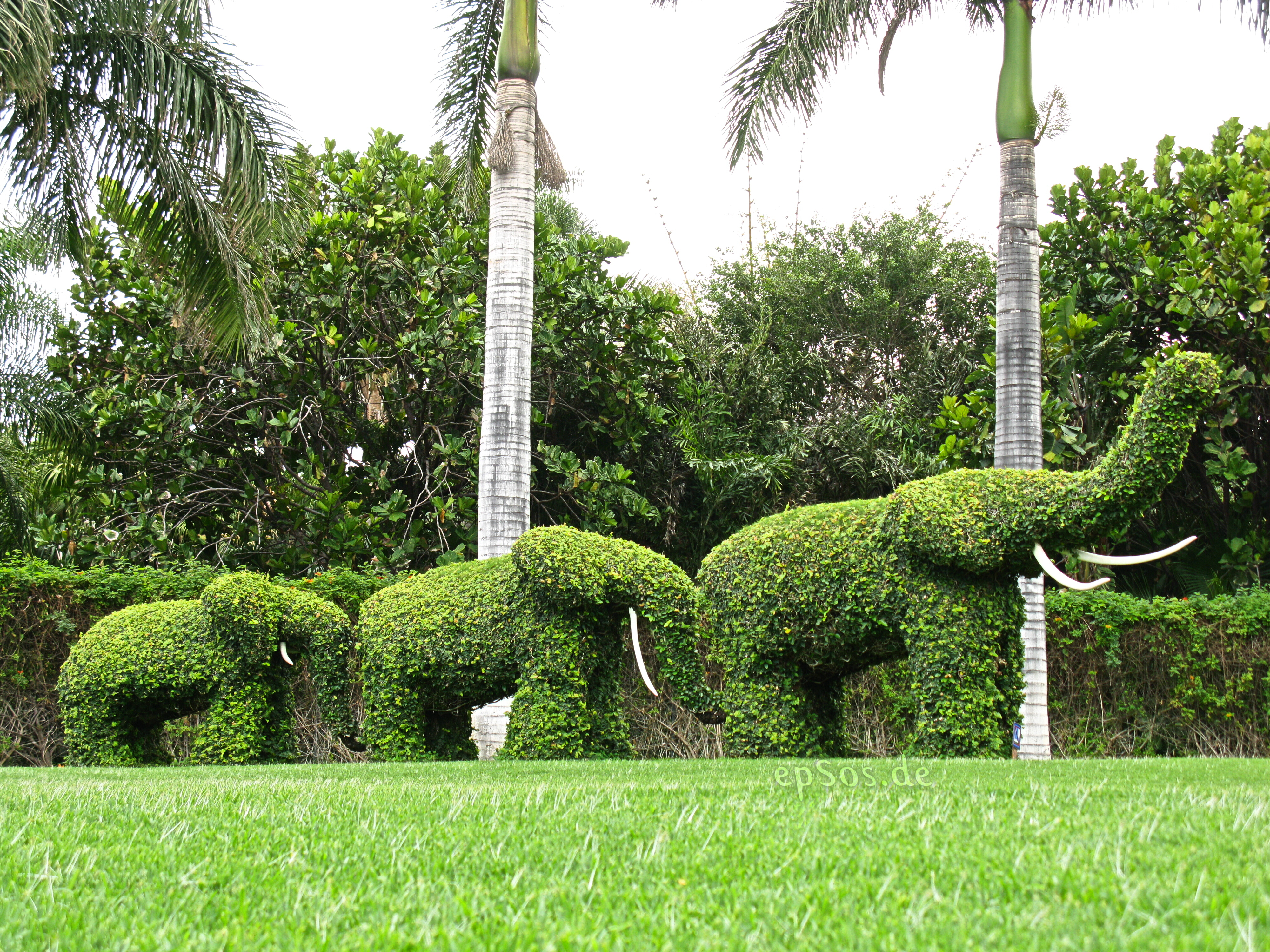 File:Green Elephants Garden Sculptures.jpg - Wikimedia Commons