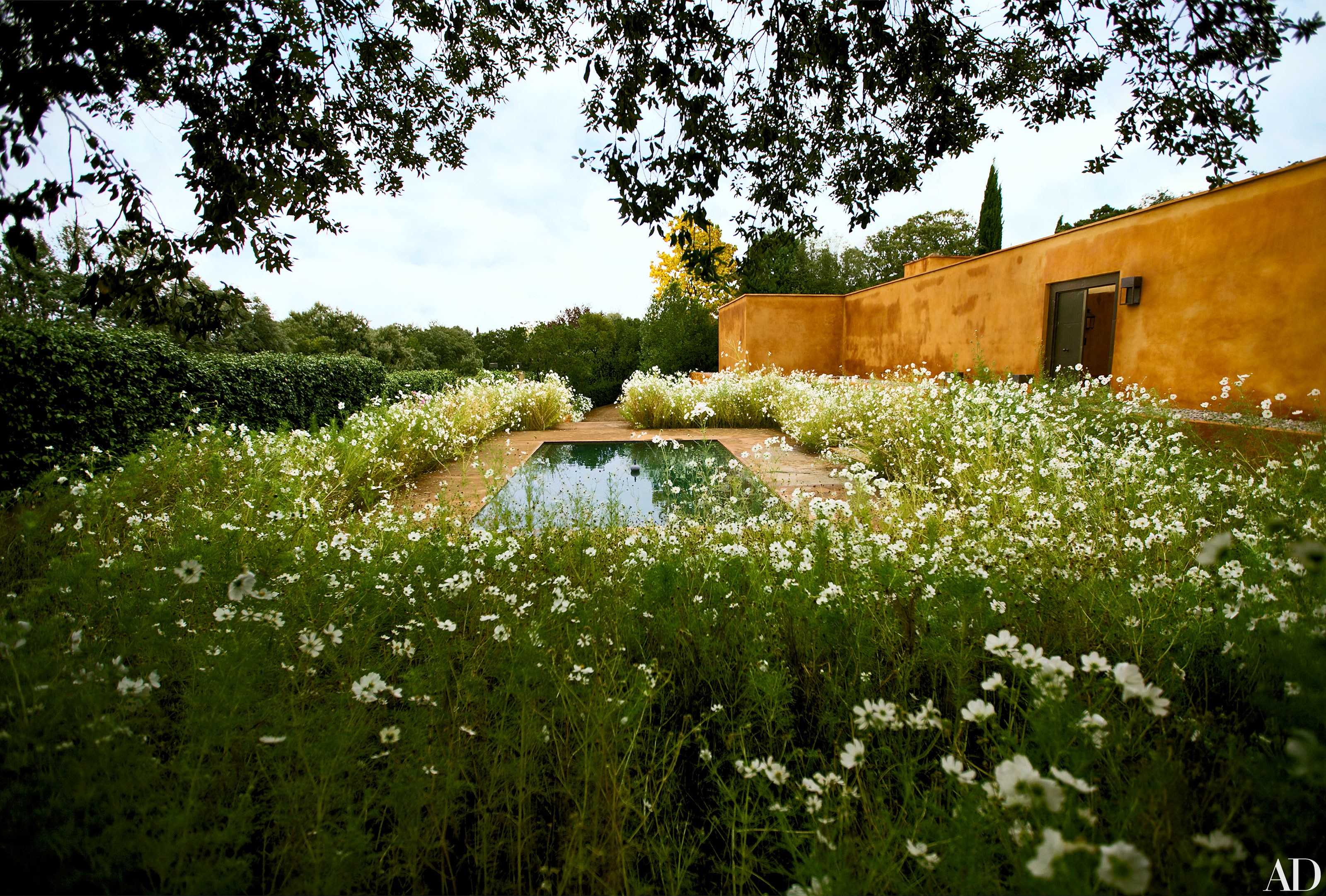 Fernando Caruncho's Famous Green Garden in Madrid | Architectural Digest
