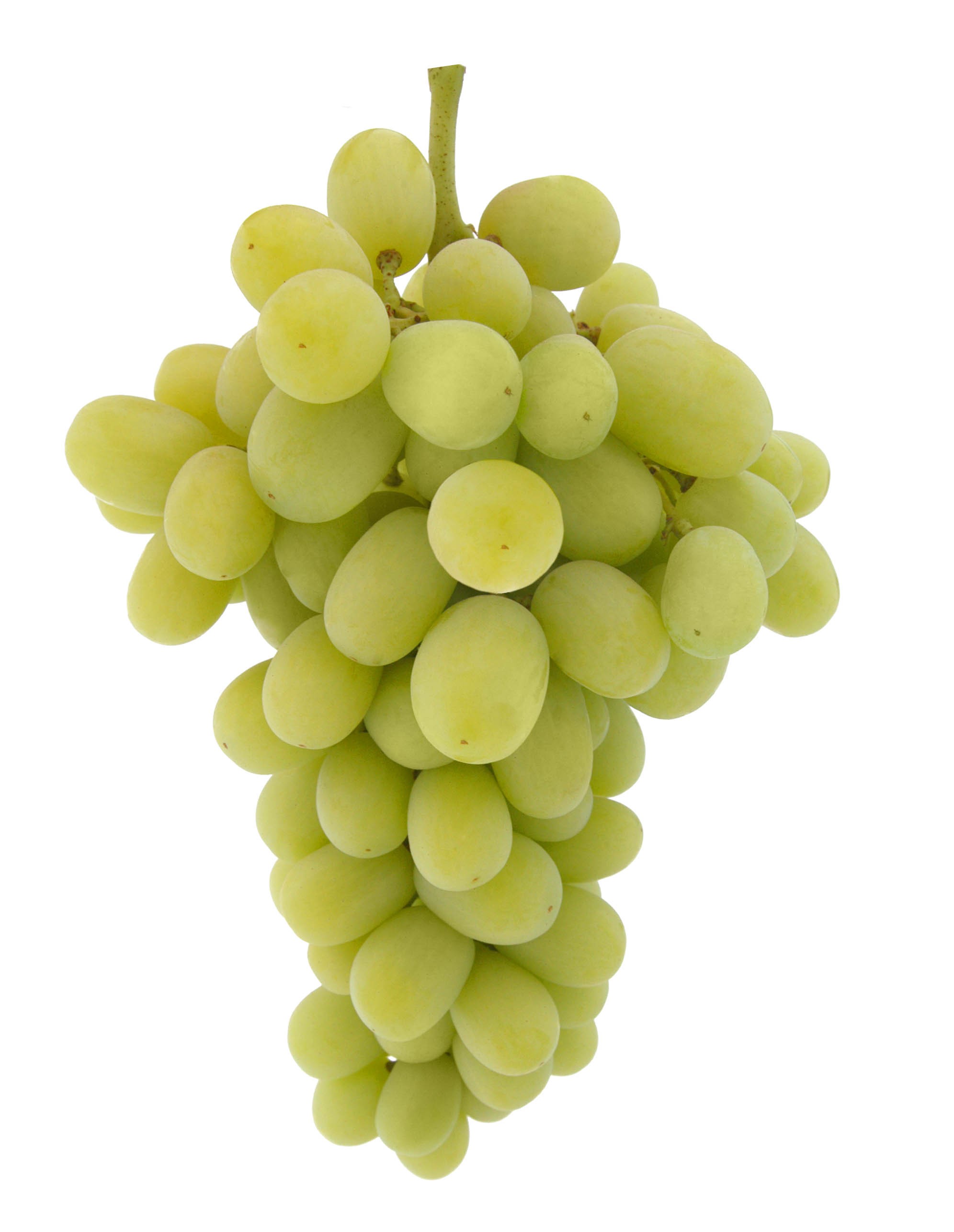 Buy Grapes - Green Seedless Online From HDS Foods