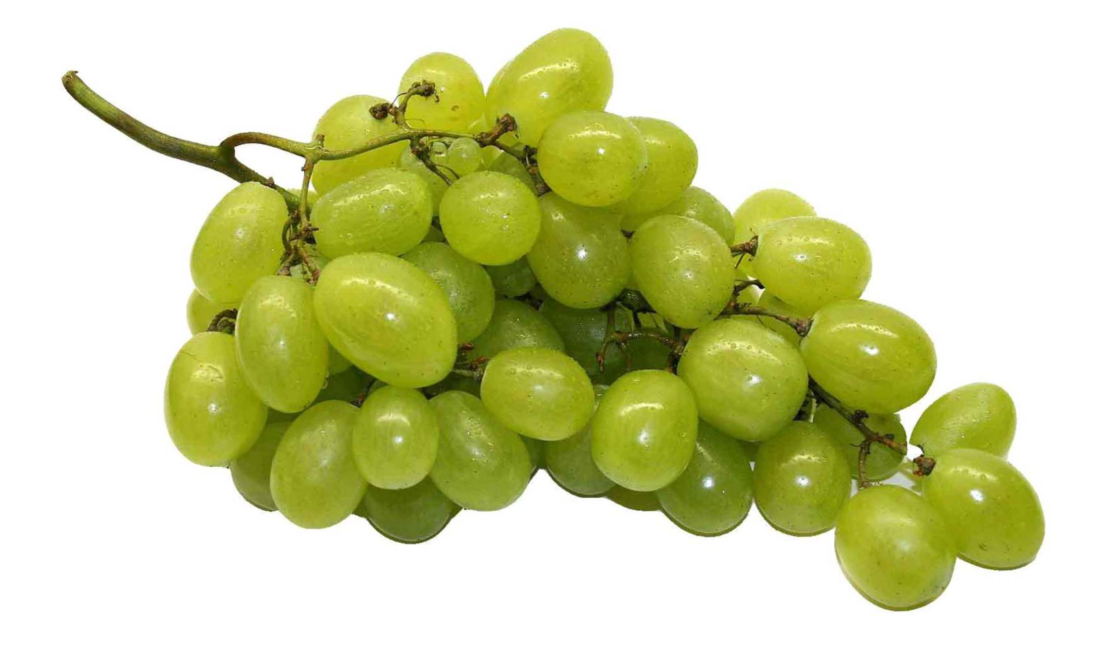 green grapes - open fotos | free open source photos, public domain ...