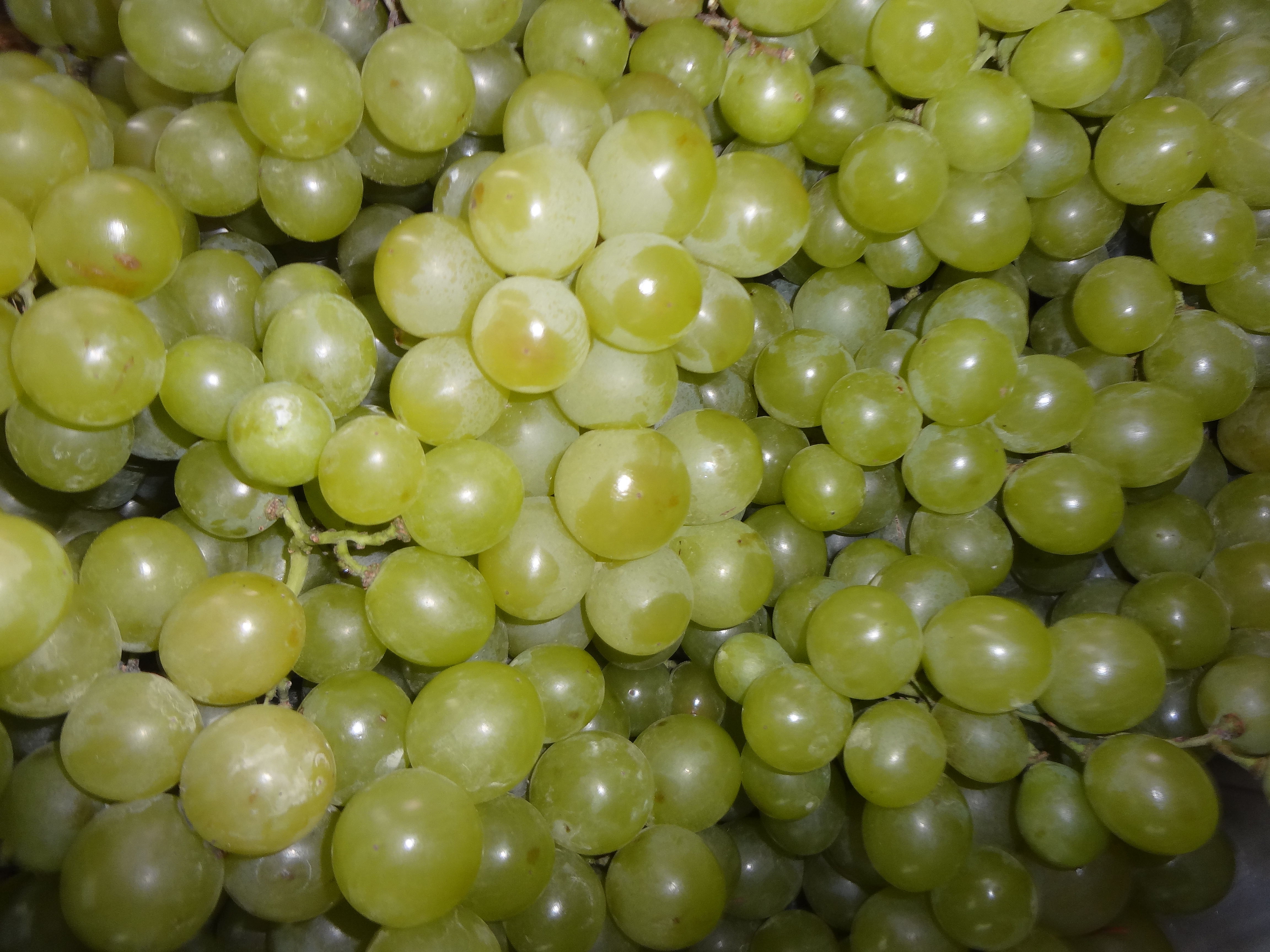 File:(Green Grapes).JPG - Wikimedia Commons