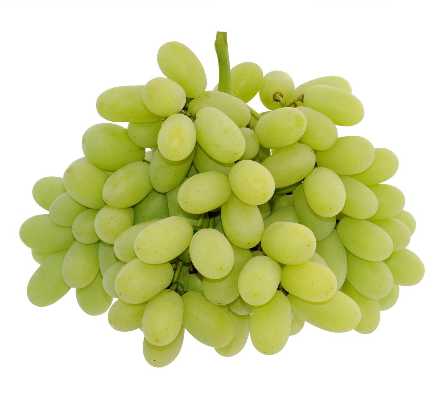 Stella Bella® Green Seedless Grapes (1kg) — MomoBud