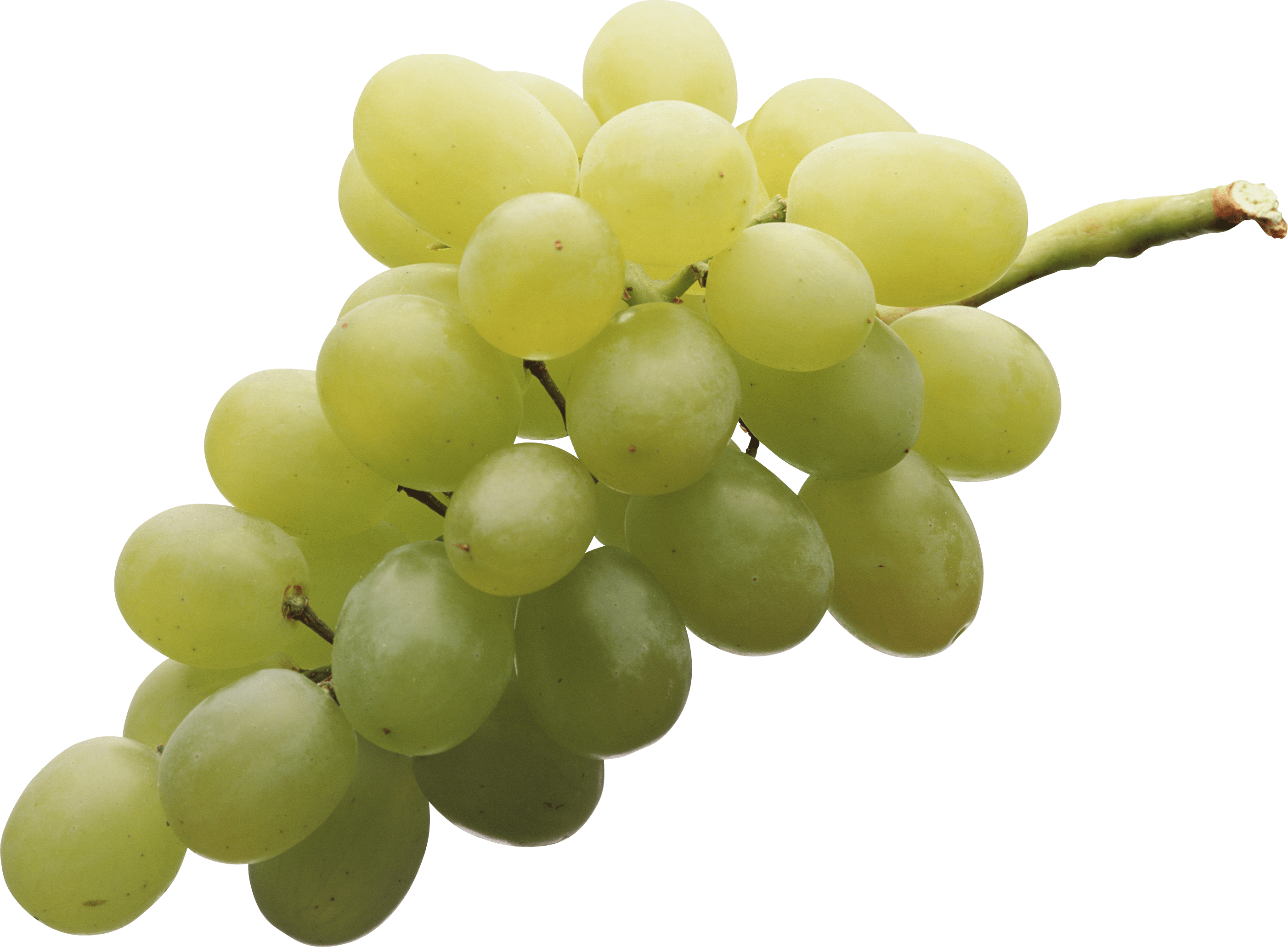 Green Grapes – Farm2Mountain