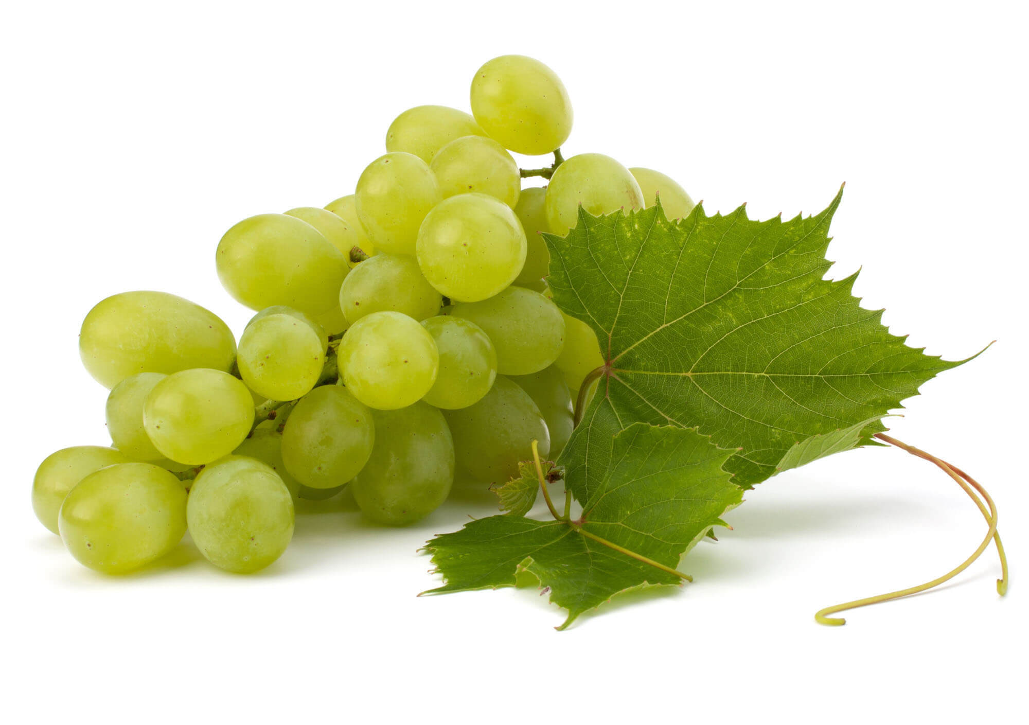 Green grapes - Step To Health