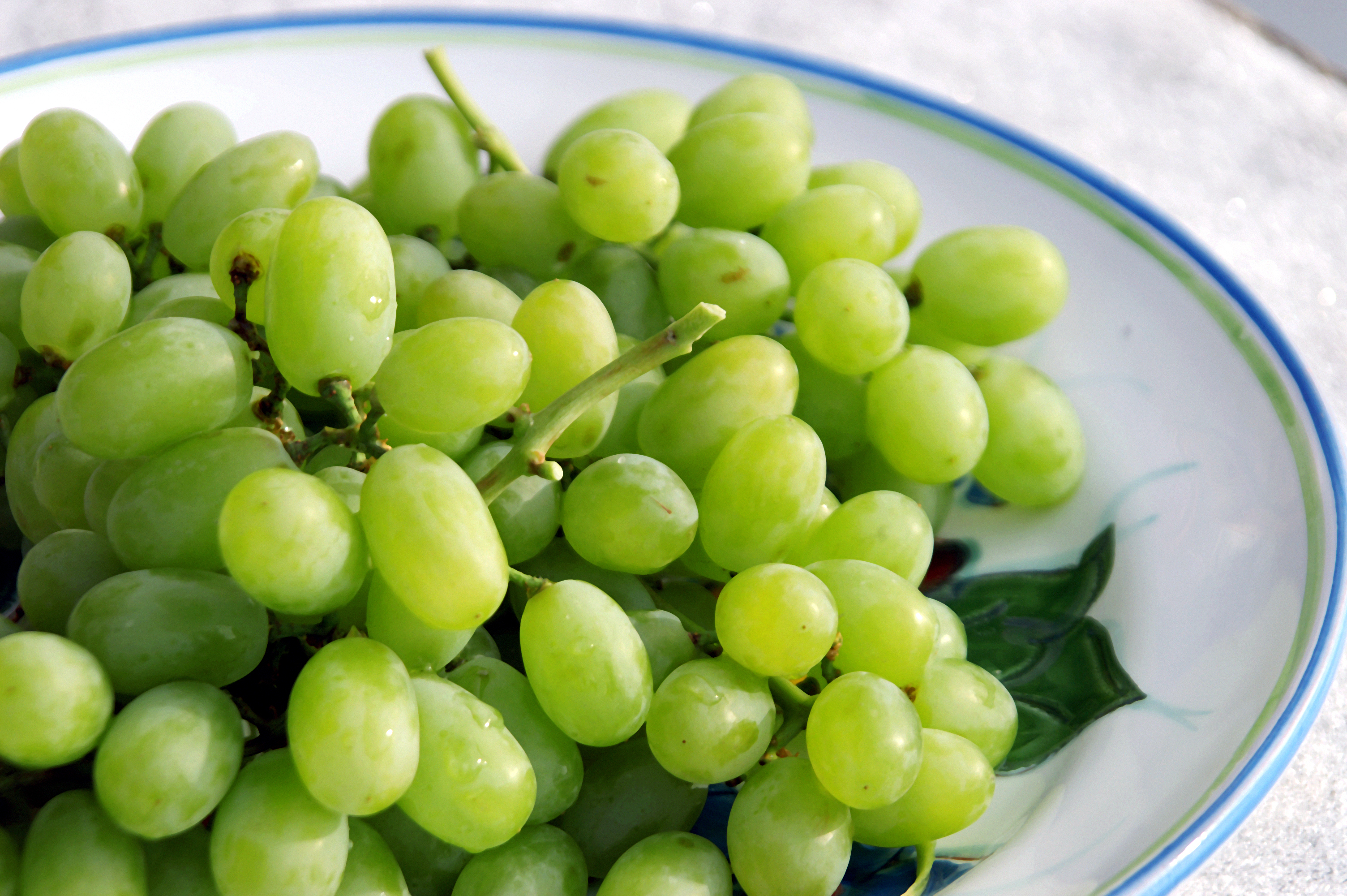Green Grapes – Localrasan.com