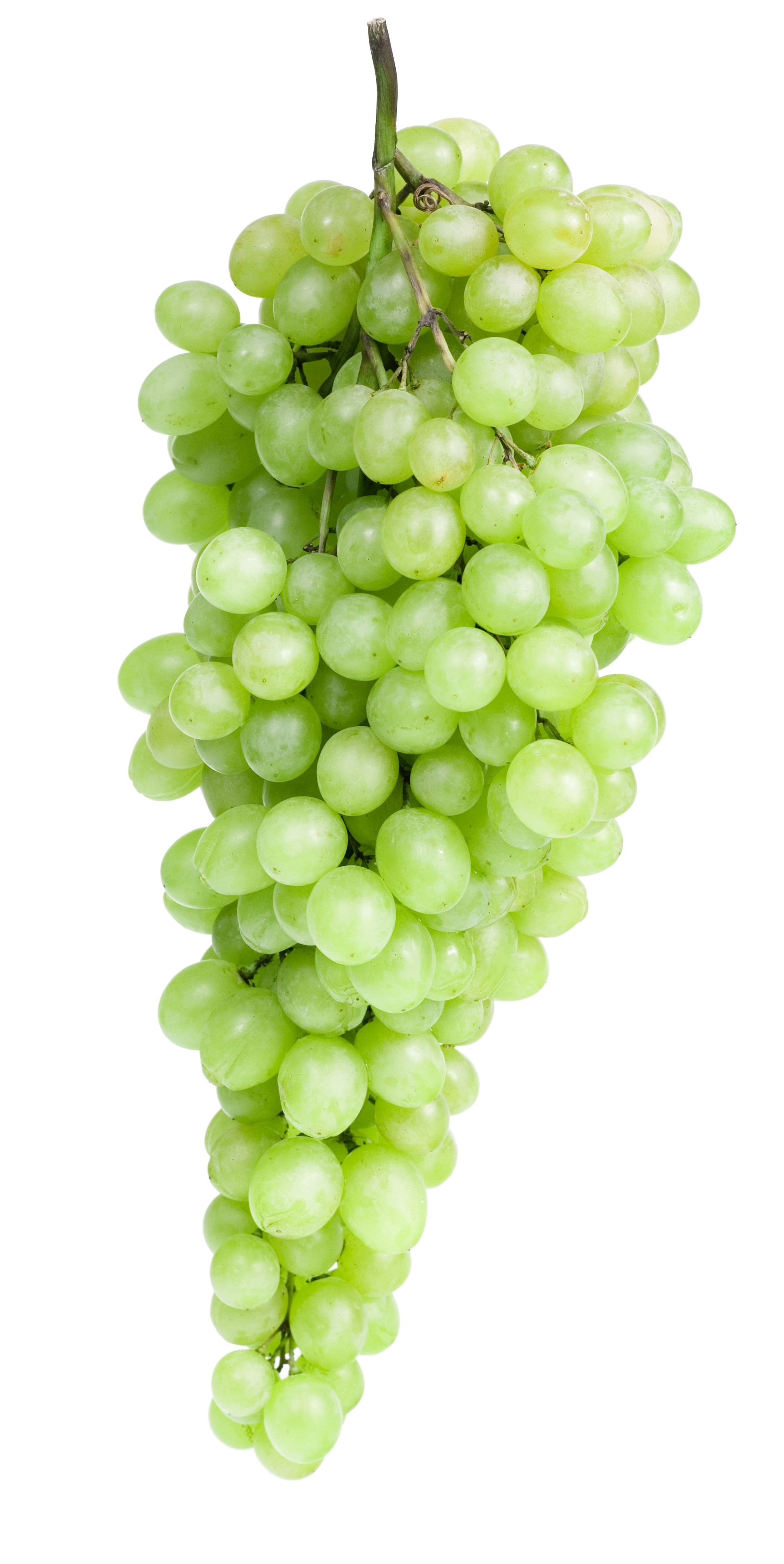 Green grapes photo