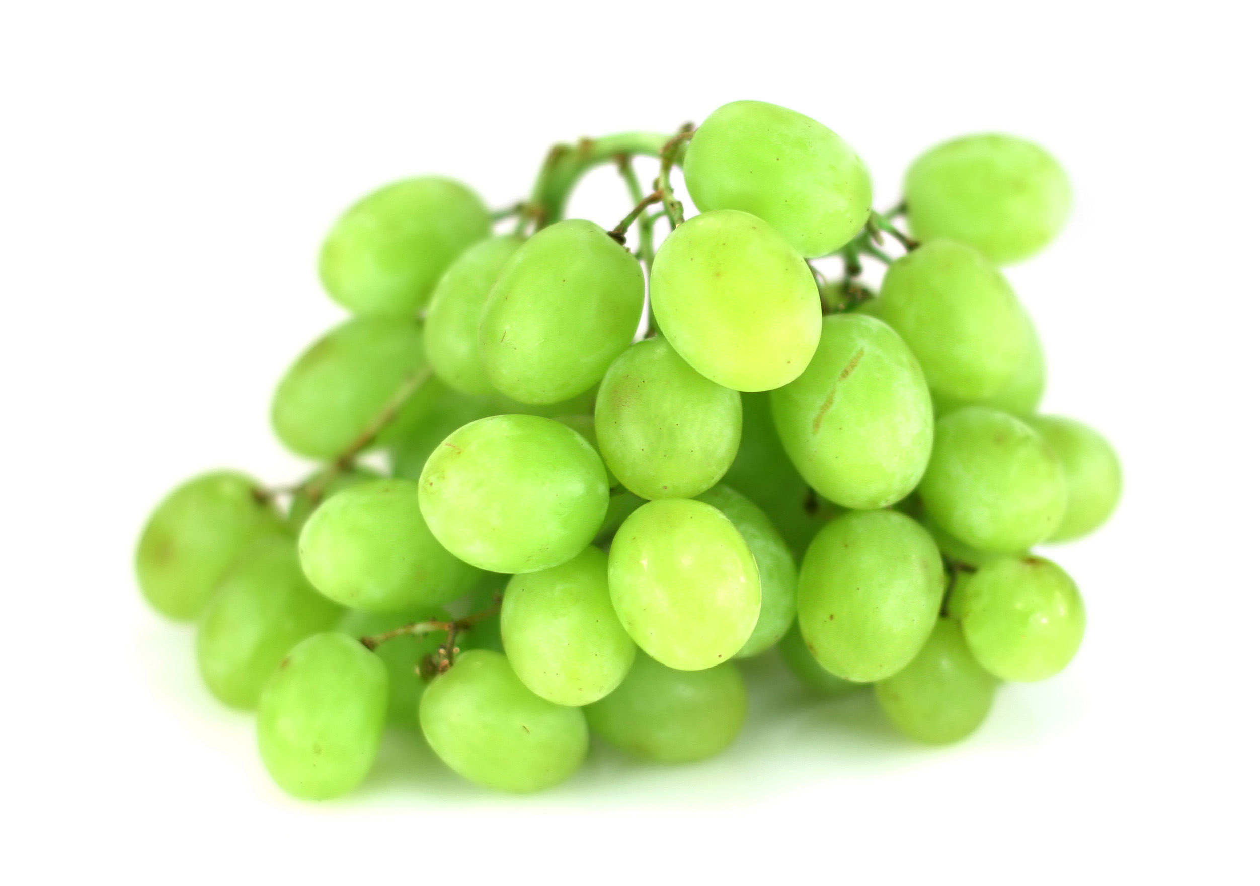 Free photo: Green Grapes - Bunch, Fresh, Fruit - Free Download - Jooinn