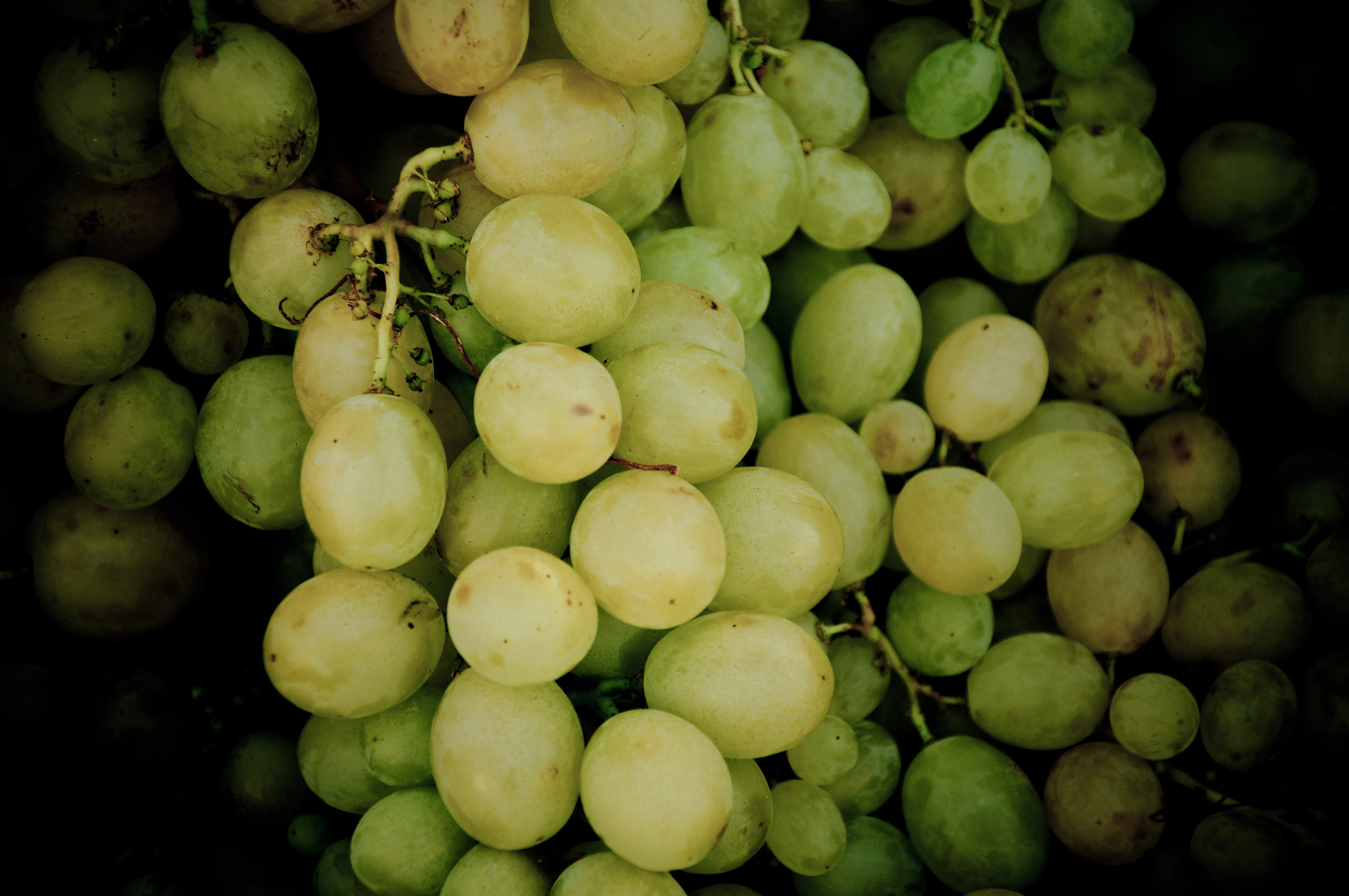 Green grapes photo